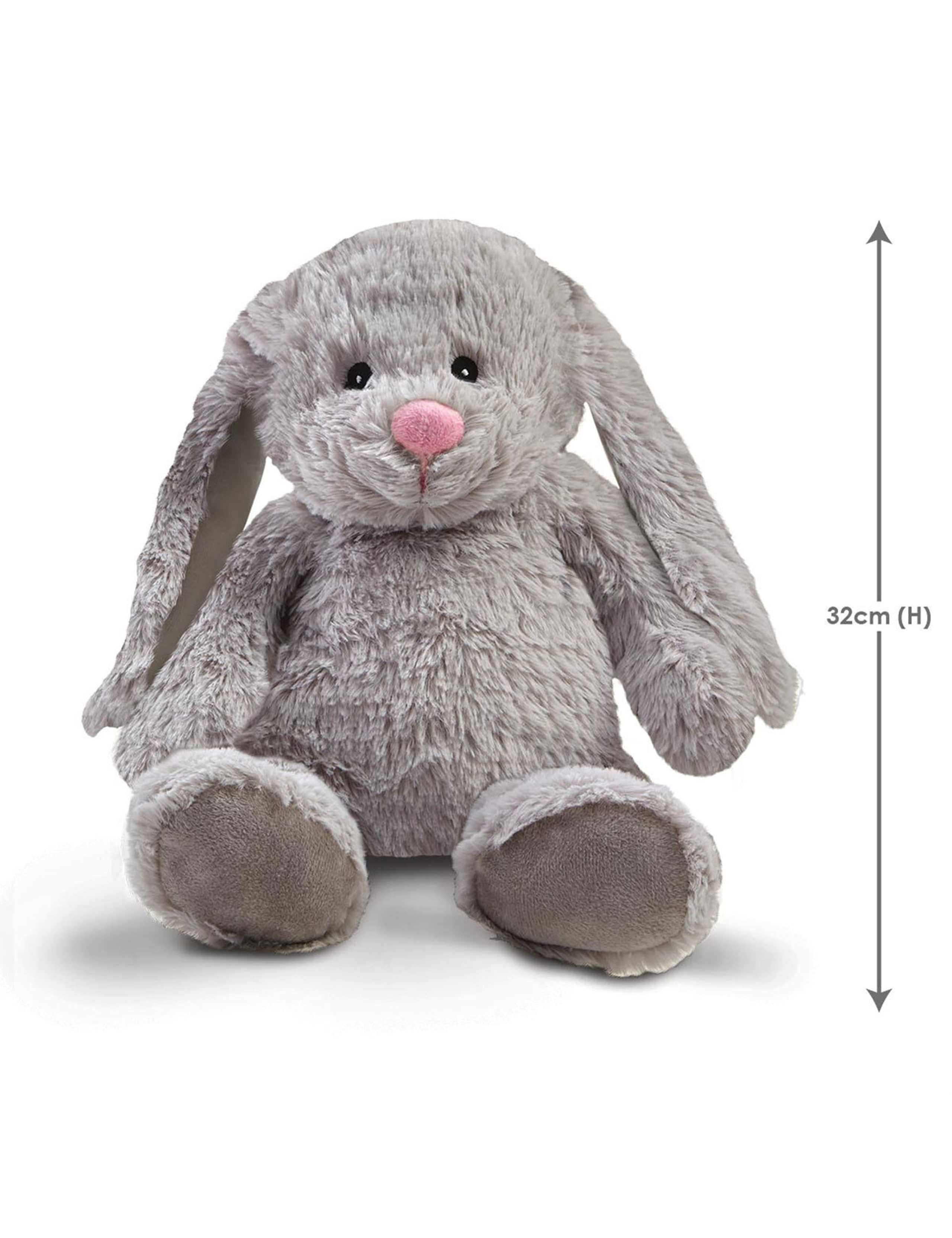 Snuggle Buddies Friendship Bunny Soft Toy (0-3 Yrs) 4 of 5