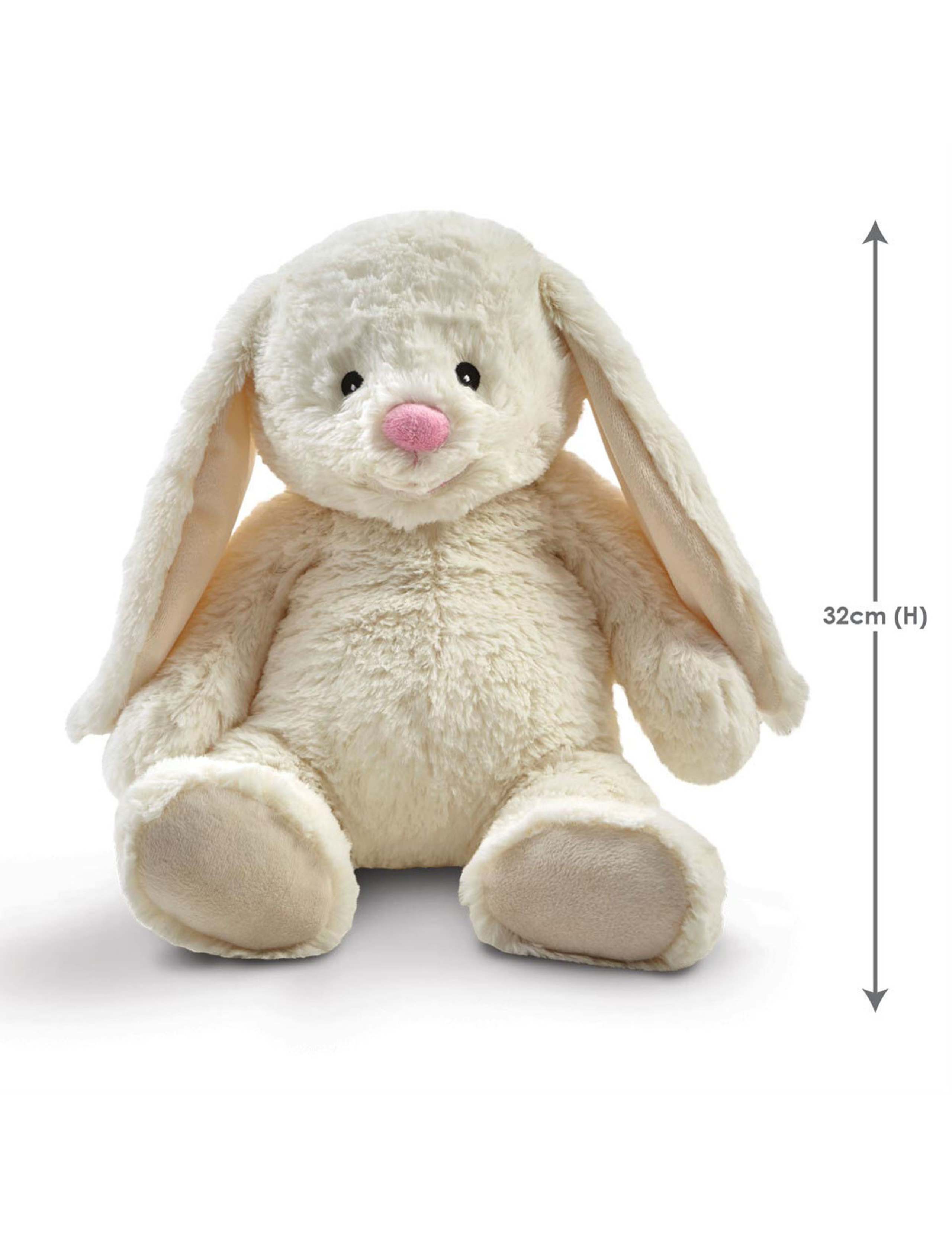 Snuggle Buddies Friendship Bunny Soft Toy (0-3 Yrs) 5 of 5