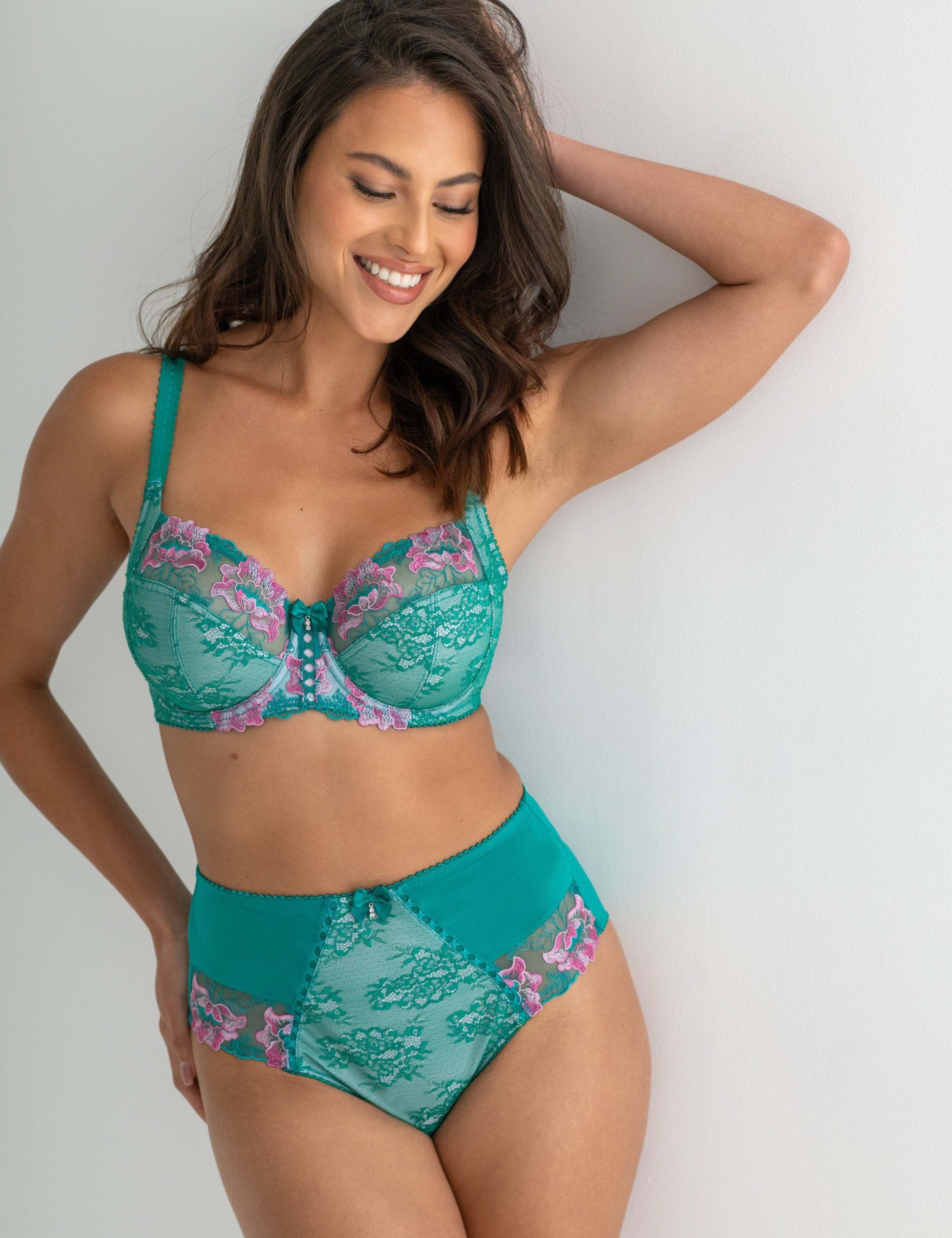 Sofia Lace Embroidered Full Briefs 1 of 6