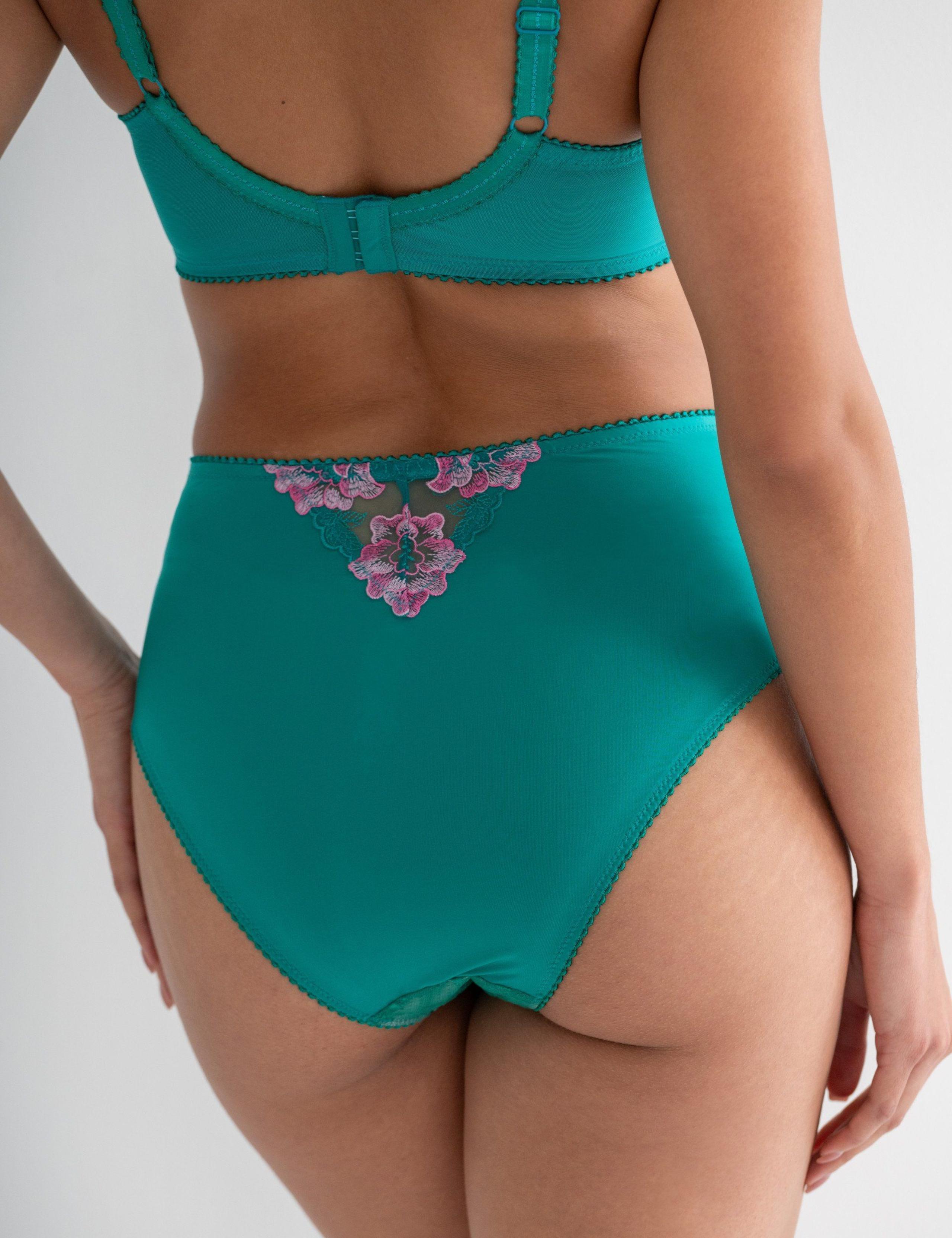 Sofia Lace Embroidered Full Briefs 4 of 6