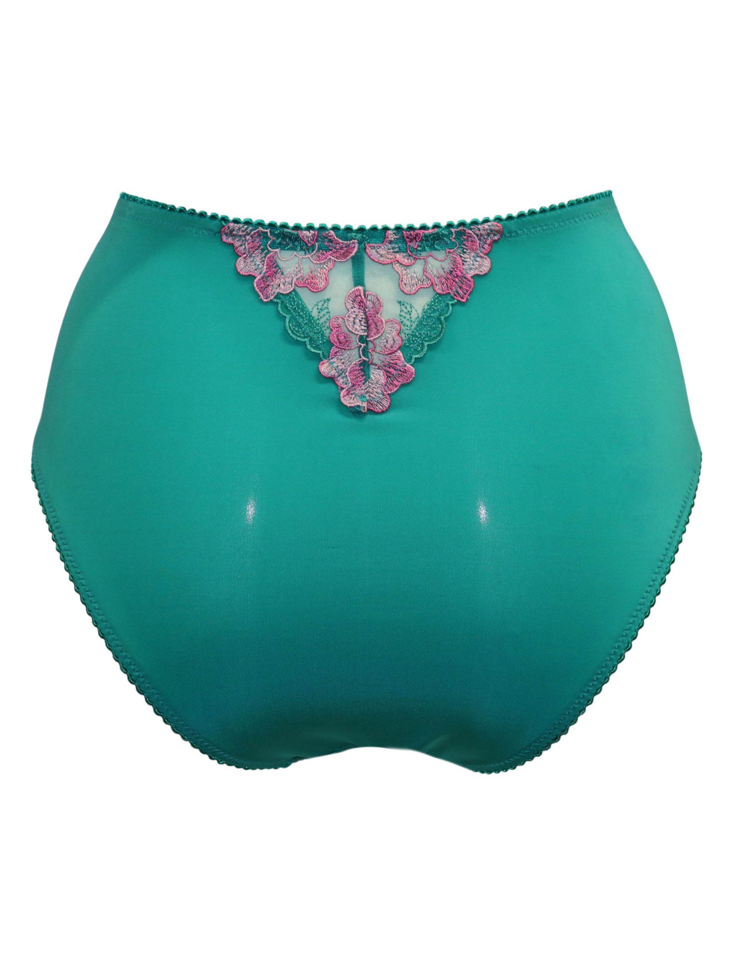 Sofia Lace Embroidered Full Briefs 6 of 6