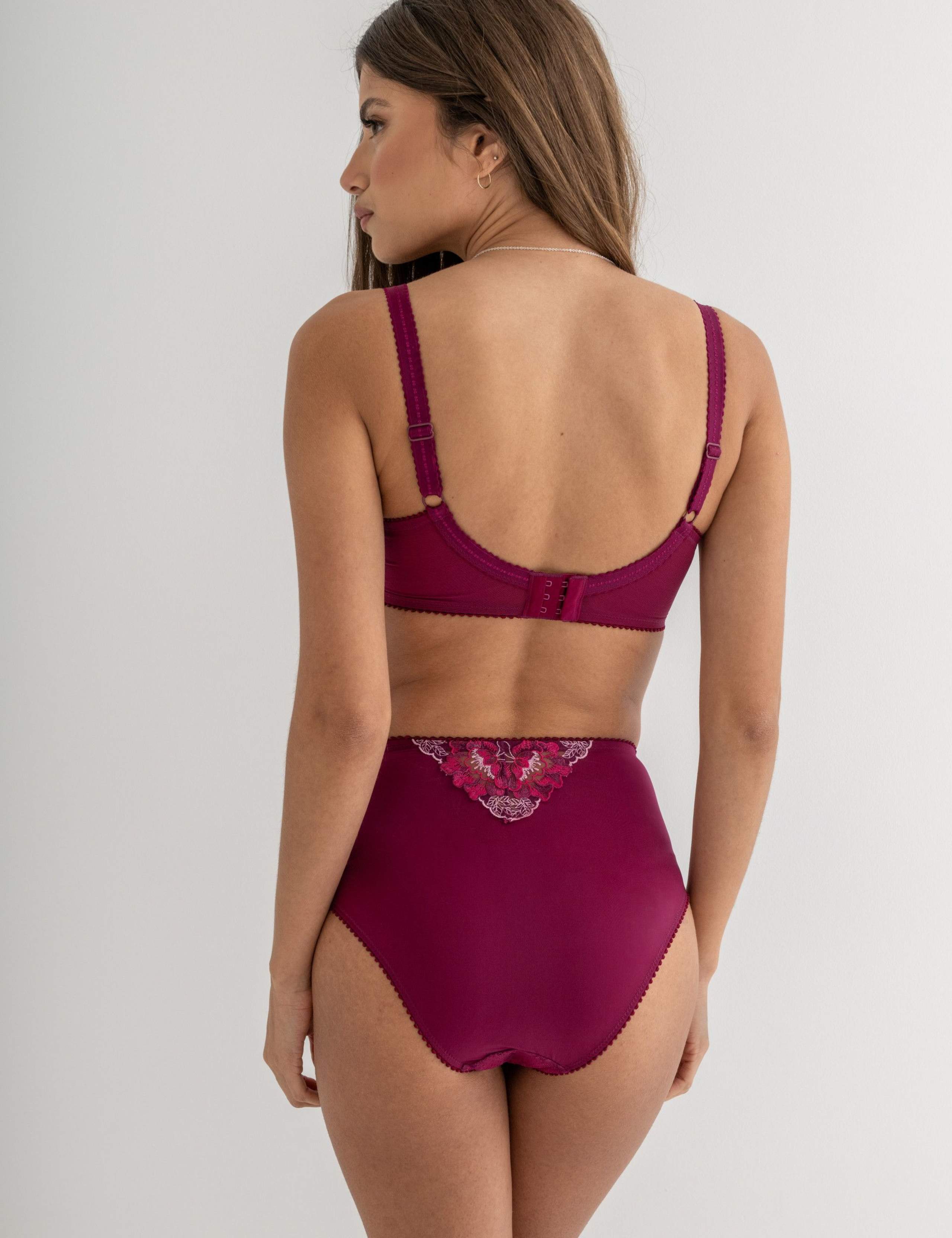 Sofia Lace Embroidered Full Briefs 6 of 9