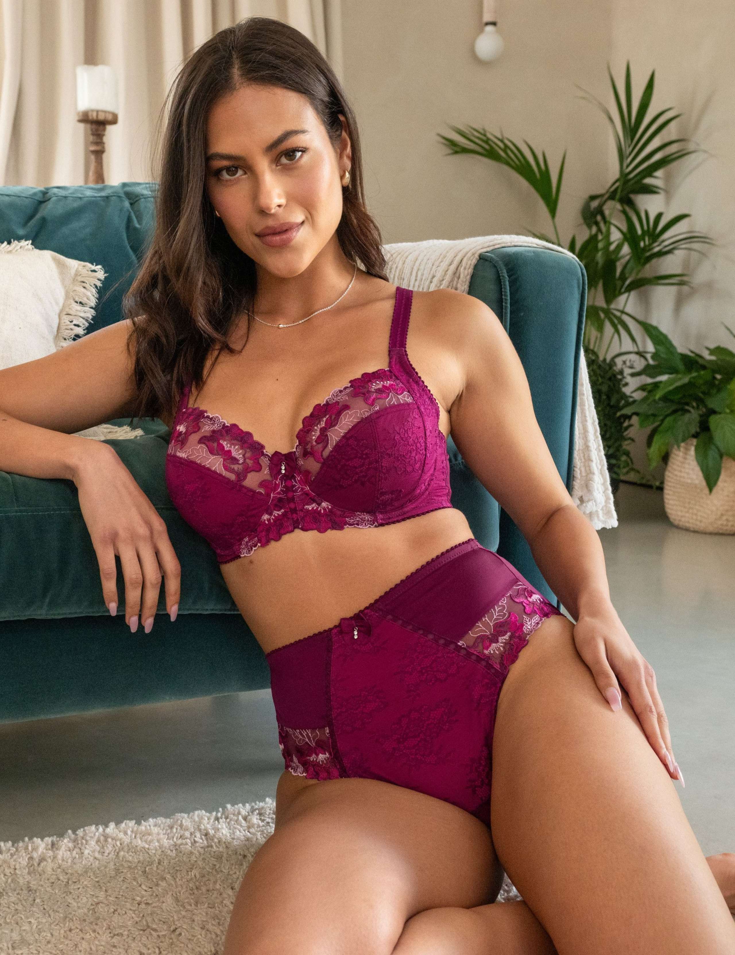 Sofia Lace Embroidered Full Briefs 9 of 9