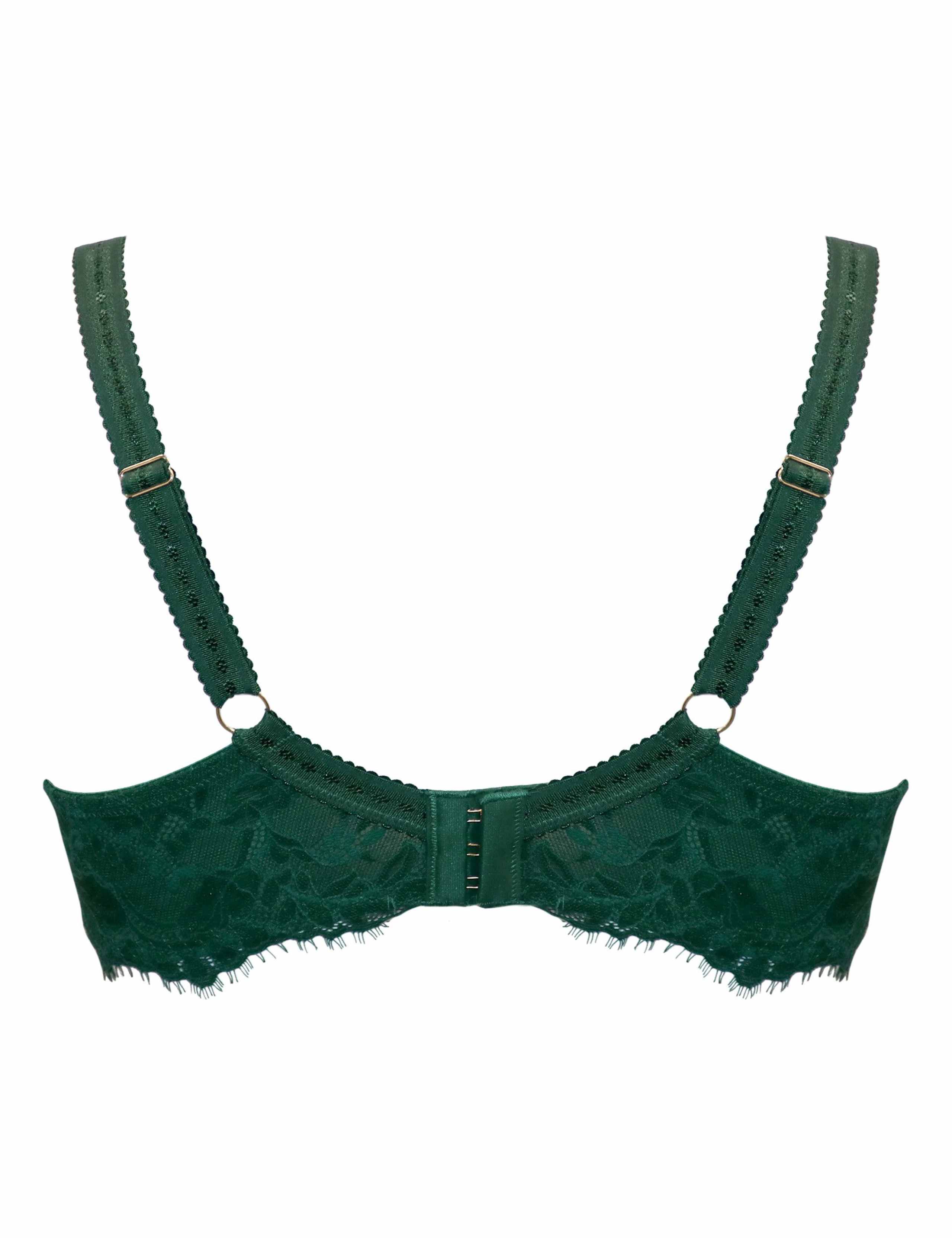 Bliss Printed Mesh Wired Balcony Bra C-FF 8 of 8