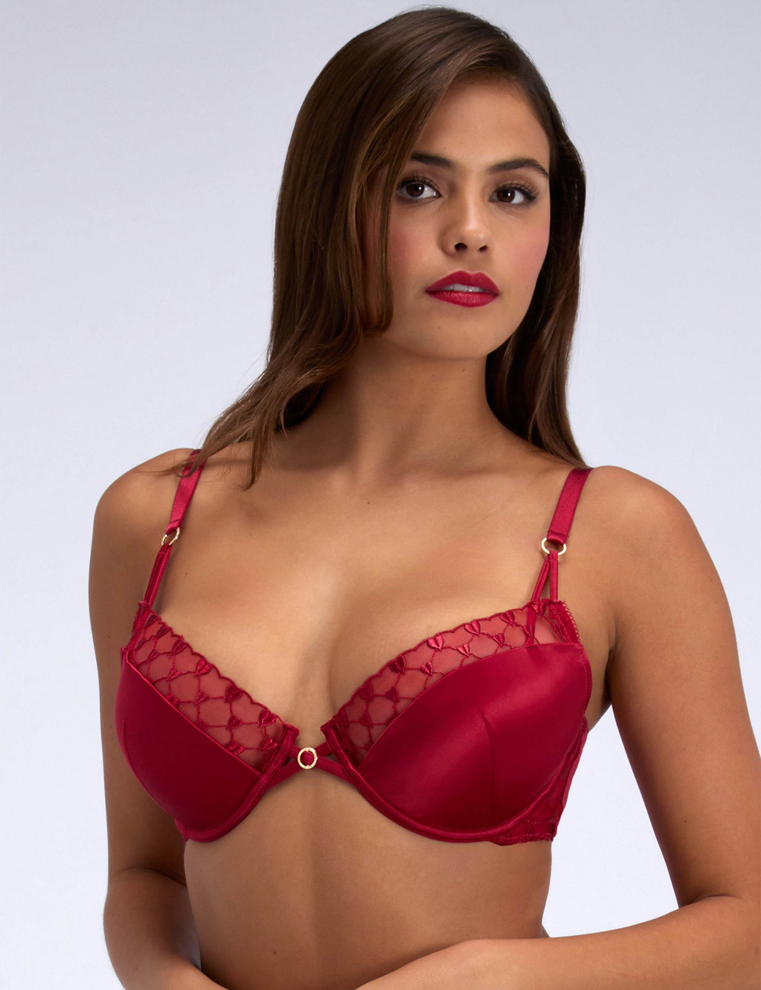 Josephina Embroidered Wired Plunge Bra (B-DD) 1 of 3