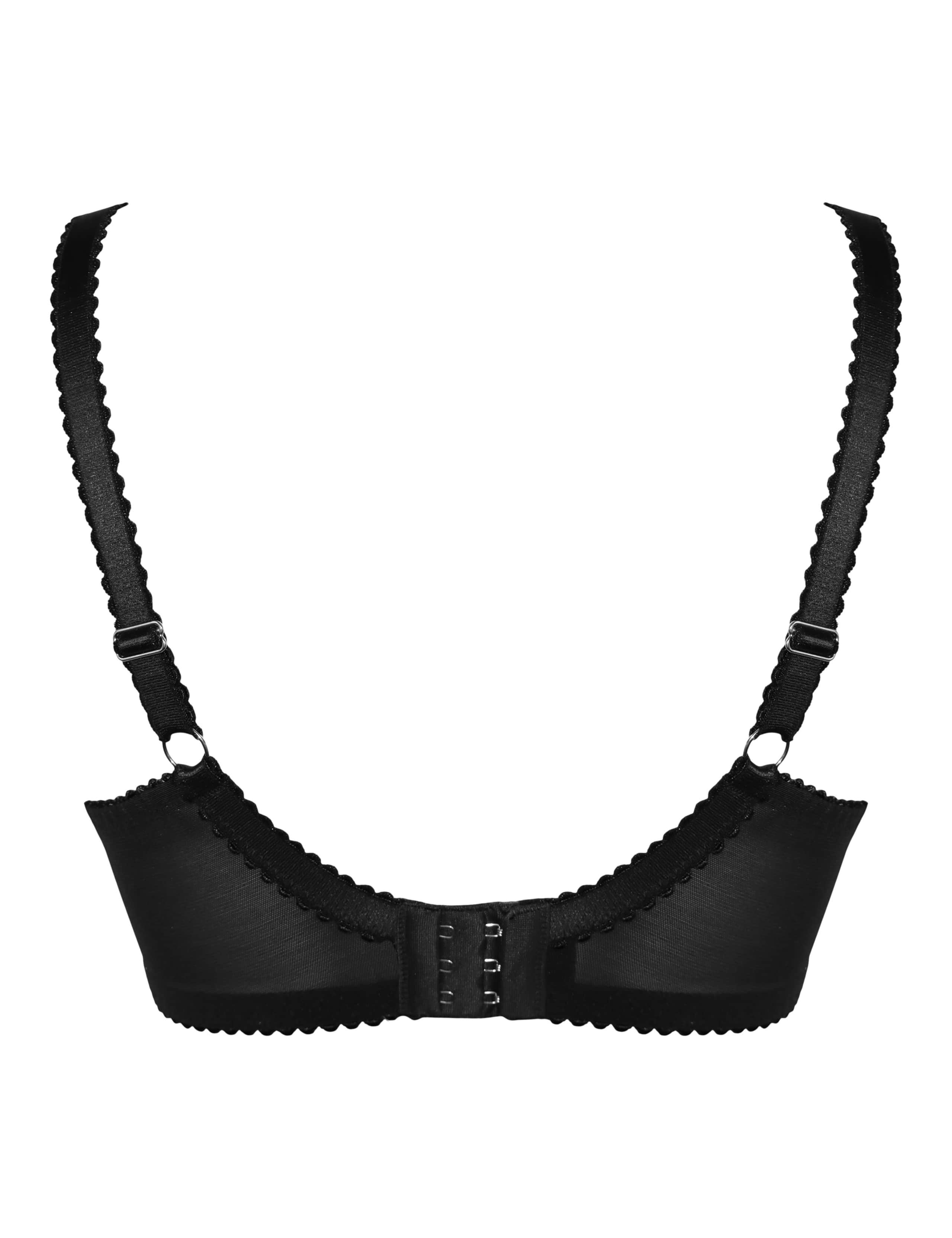 Hollywood Lace Side Support Plunge Bra (D-J) 3 of 11