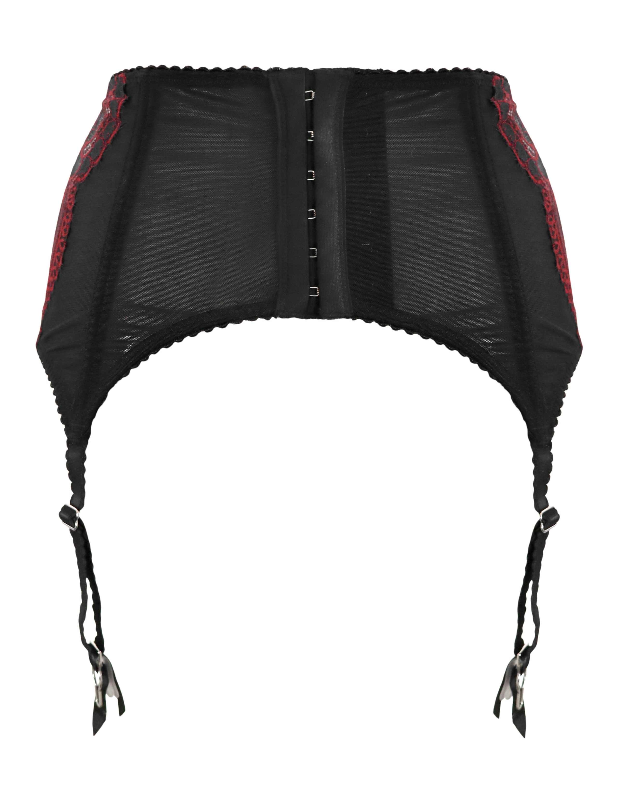 Hollywood Lace Suspender 5 of 9