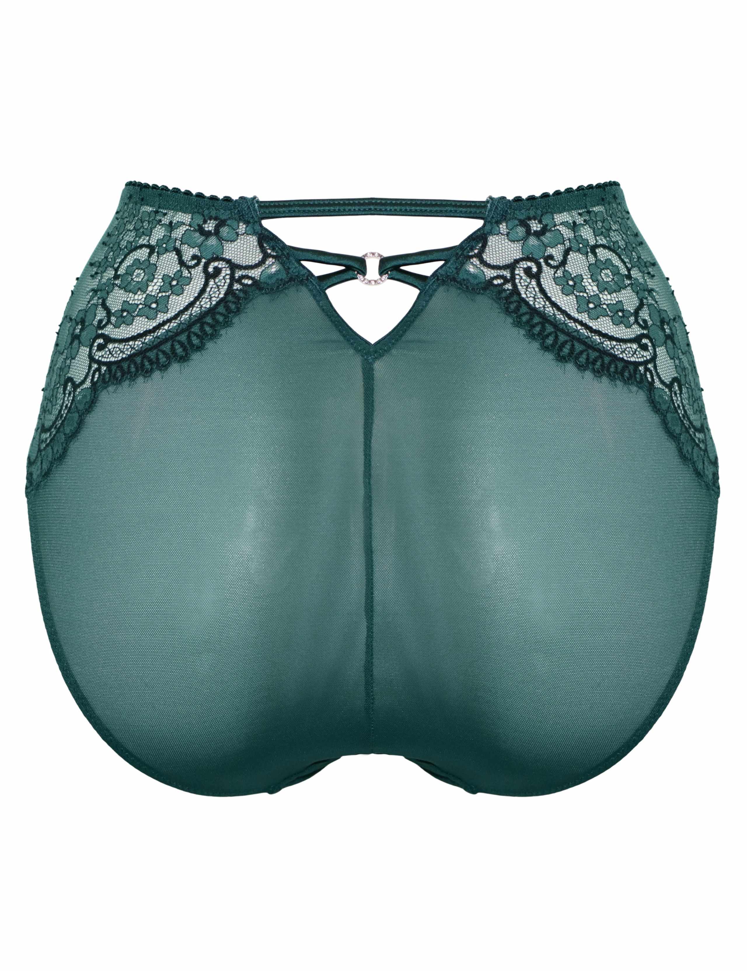 Hollywood High Waisted Full Briefs 7 of 7