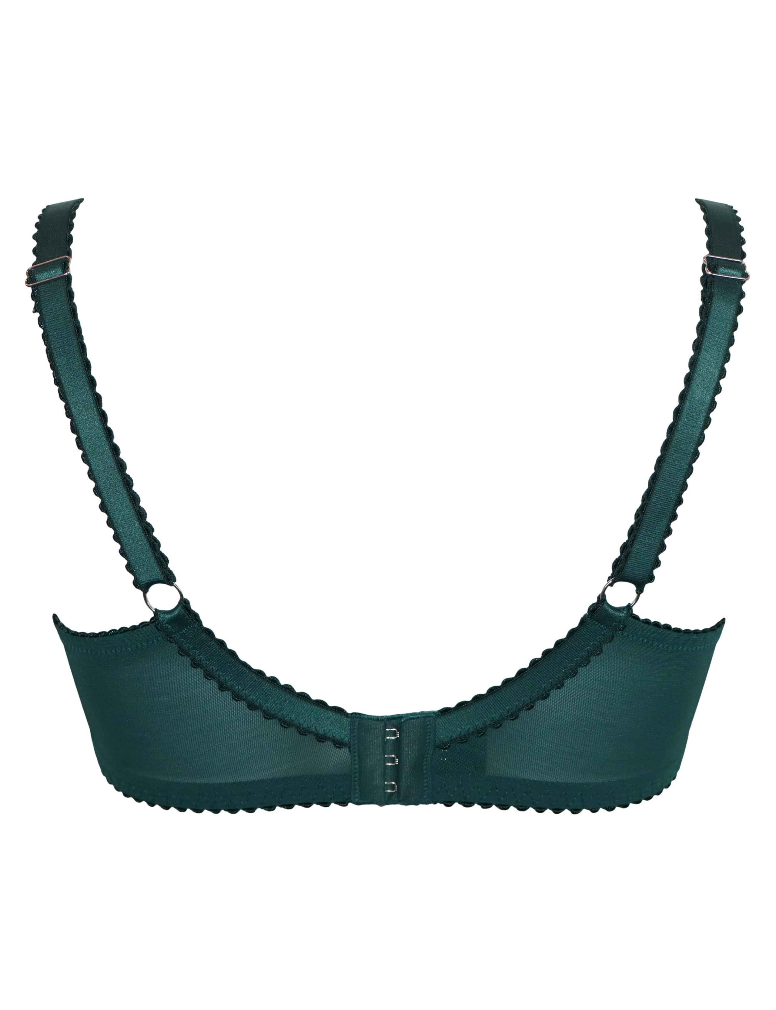 Hollywood Lace Side Support Plunge Bra (D-J) 8 of 8