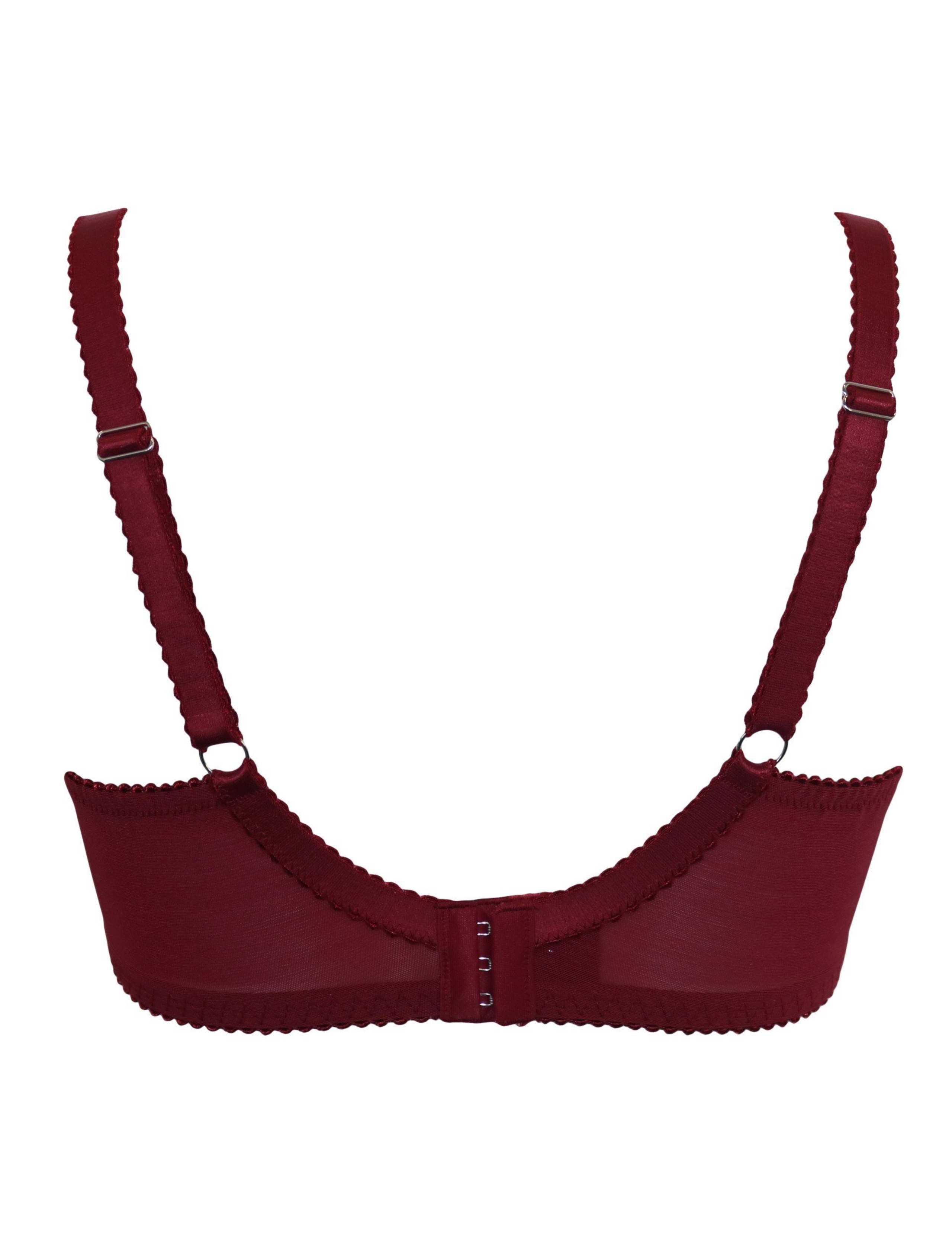 Hollywood Lace Side Support Plunge Bra (D-J) 10 of 10