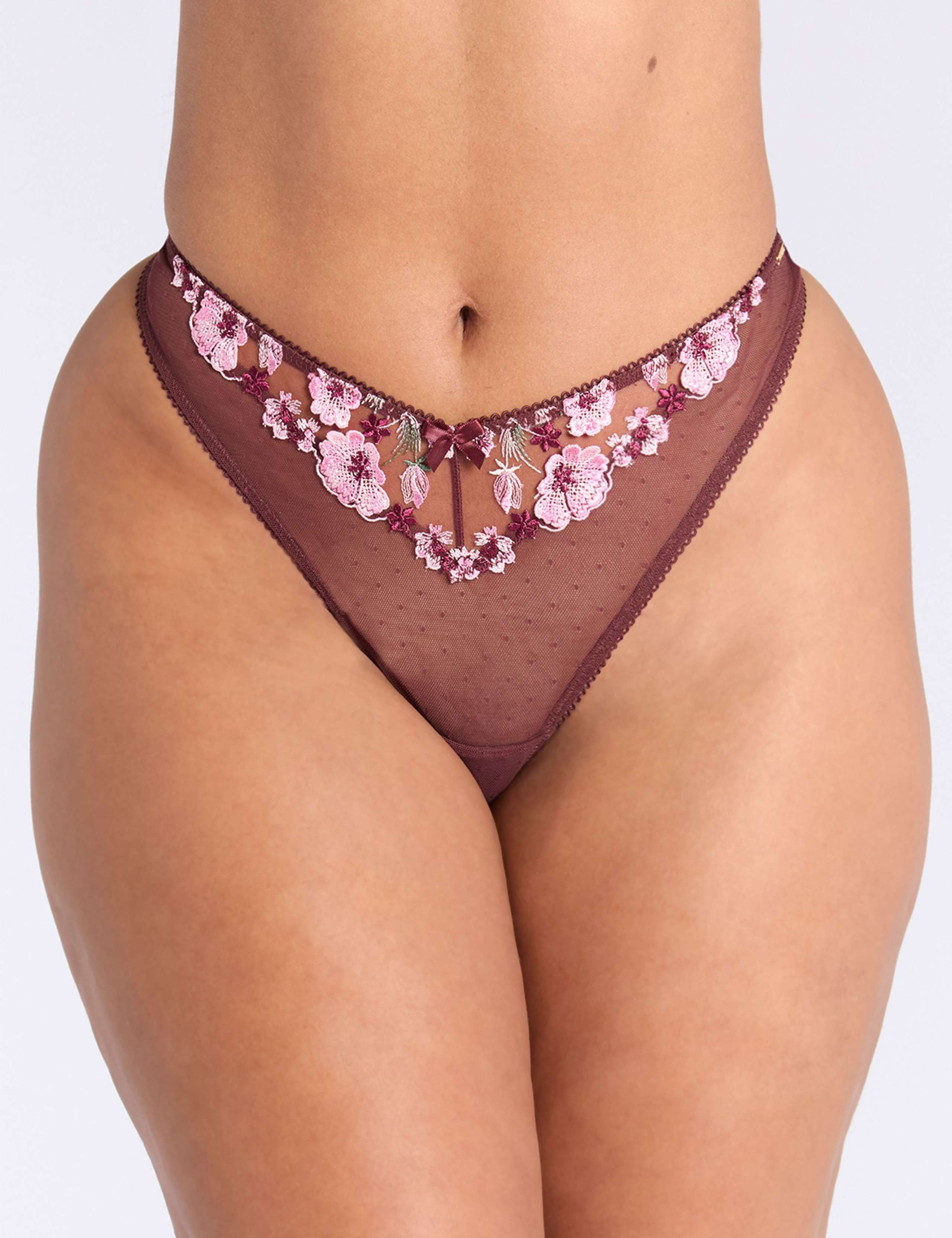 Evelyn Embroidered Mesh Thong 4 of 4