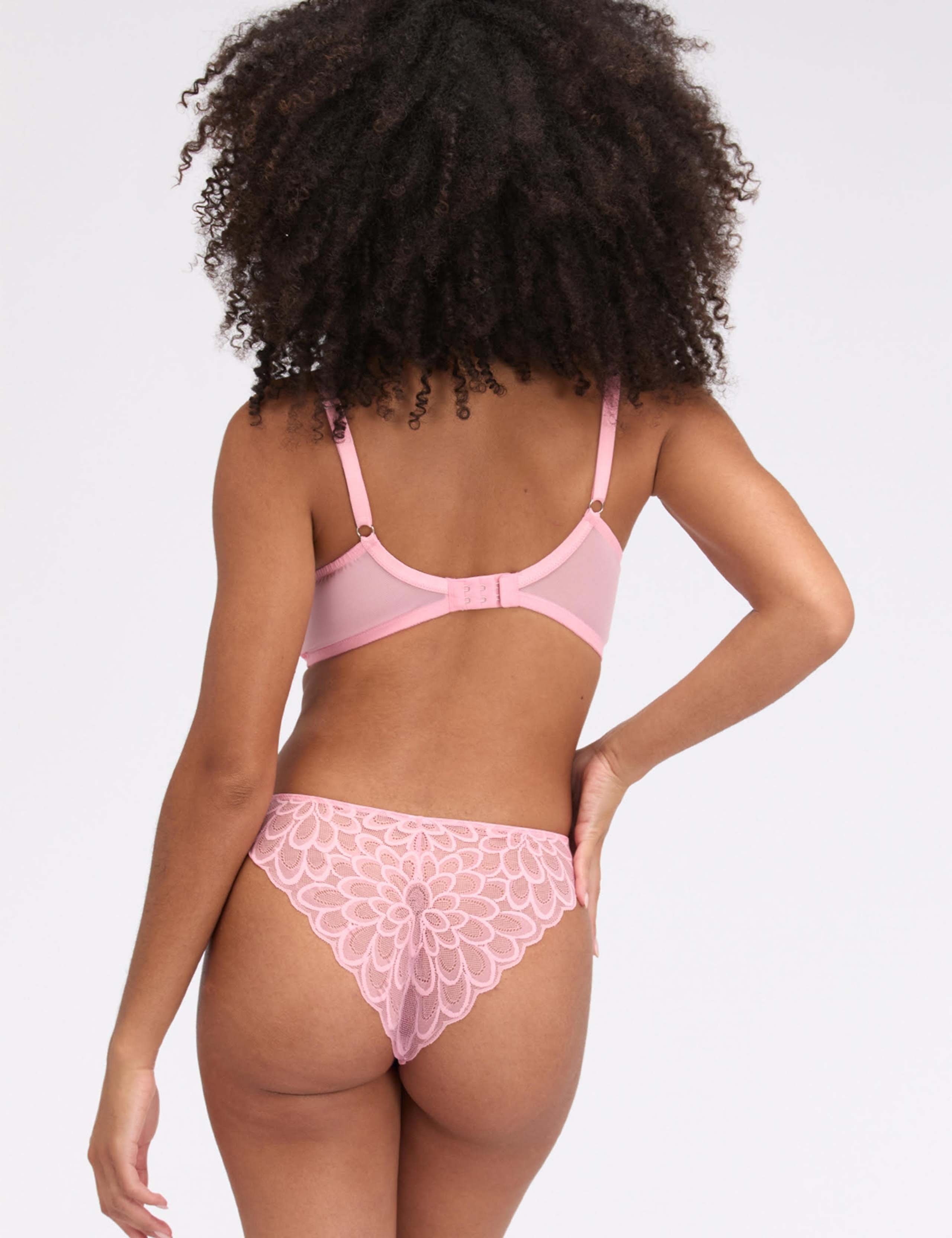 Eden Lace Briefs 3 of 4