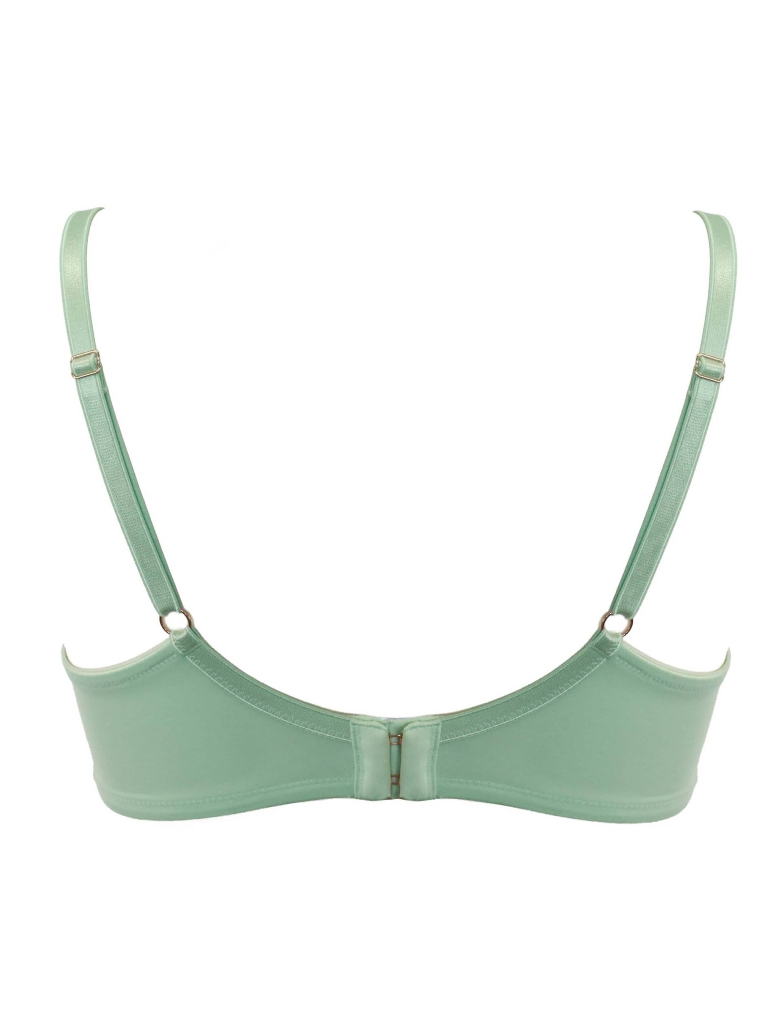 Atelier High Apex Lace Wired Plunge Bra (B-F) 6 of 6