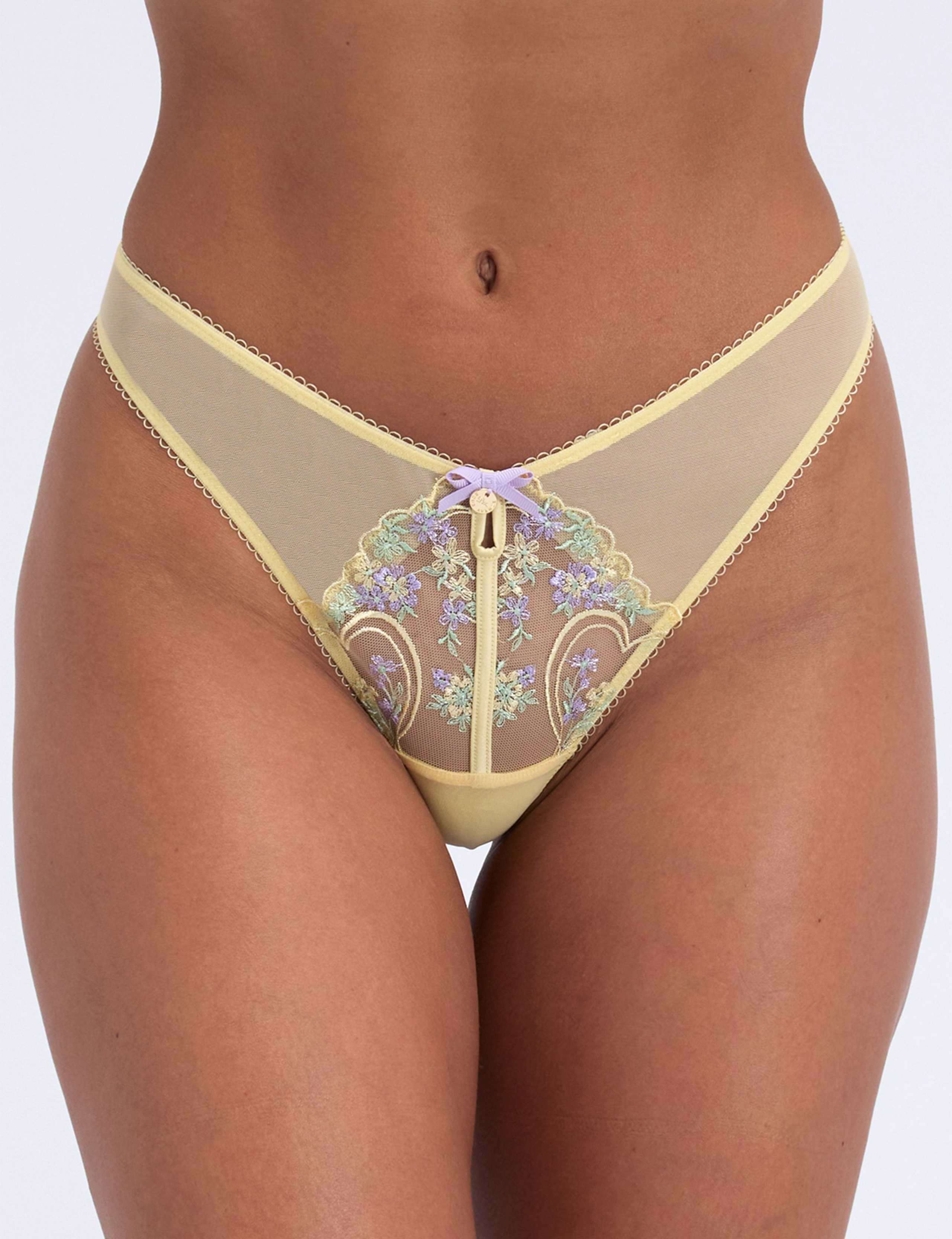 Lisette Embroidered Mesh Thong 1 of 6