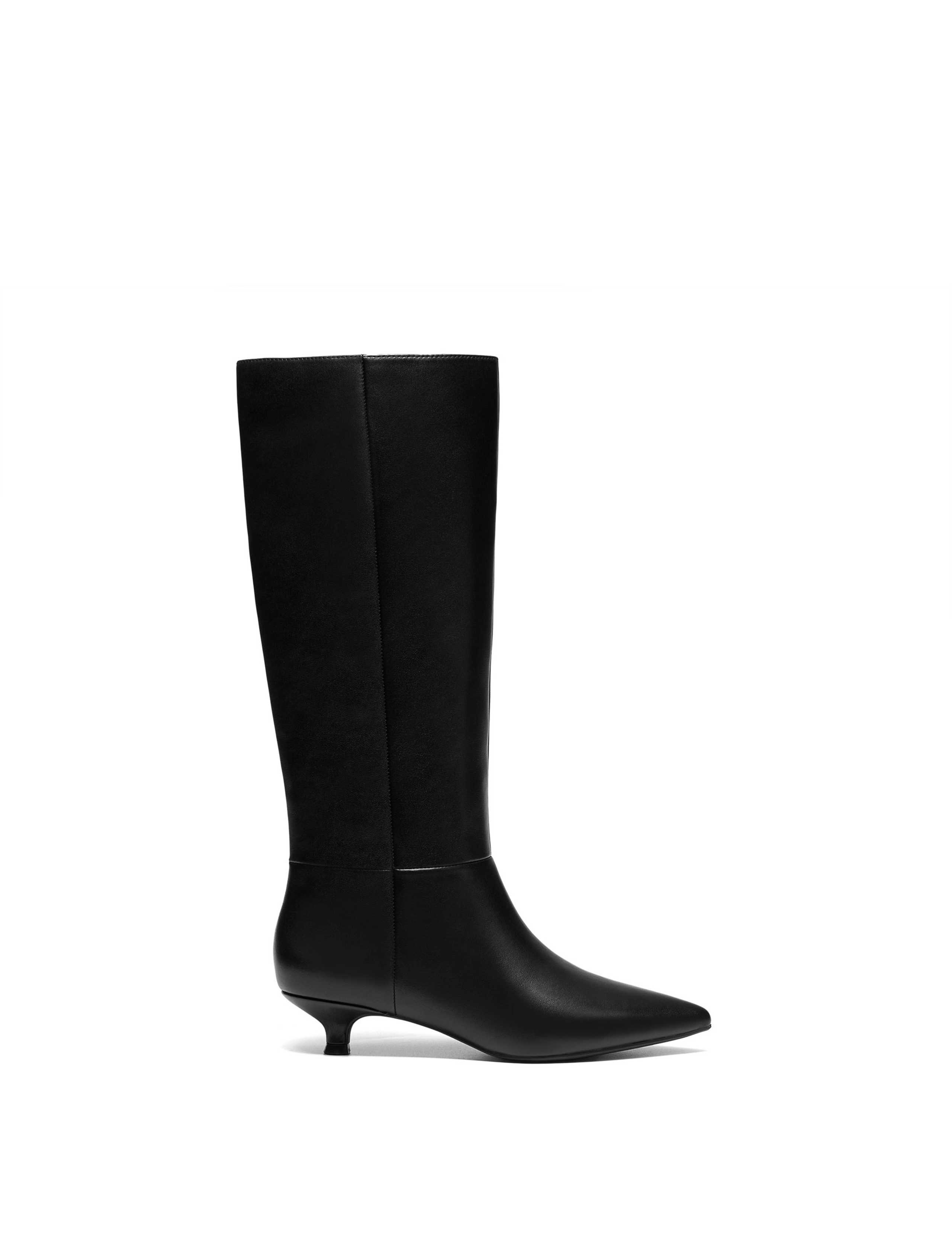 Pisa Leather Kitten Heel Pointed Knee High Boots 1 of 6