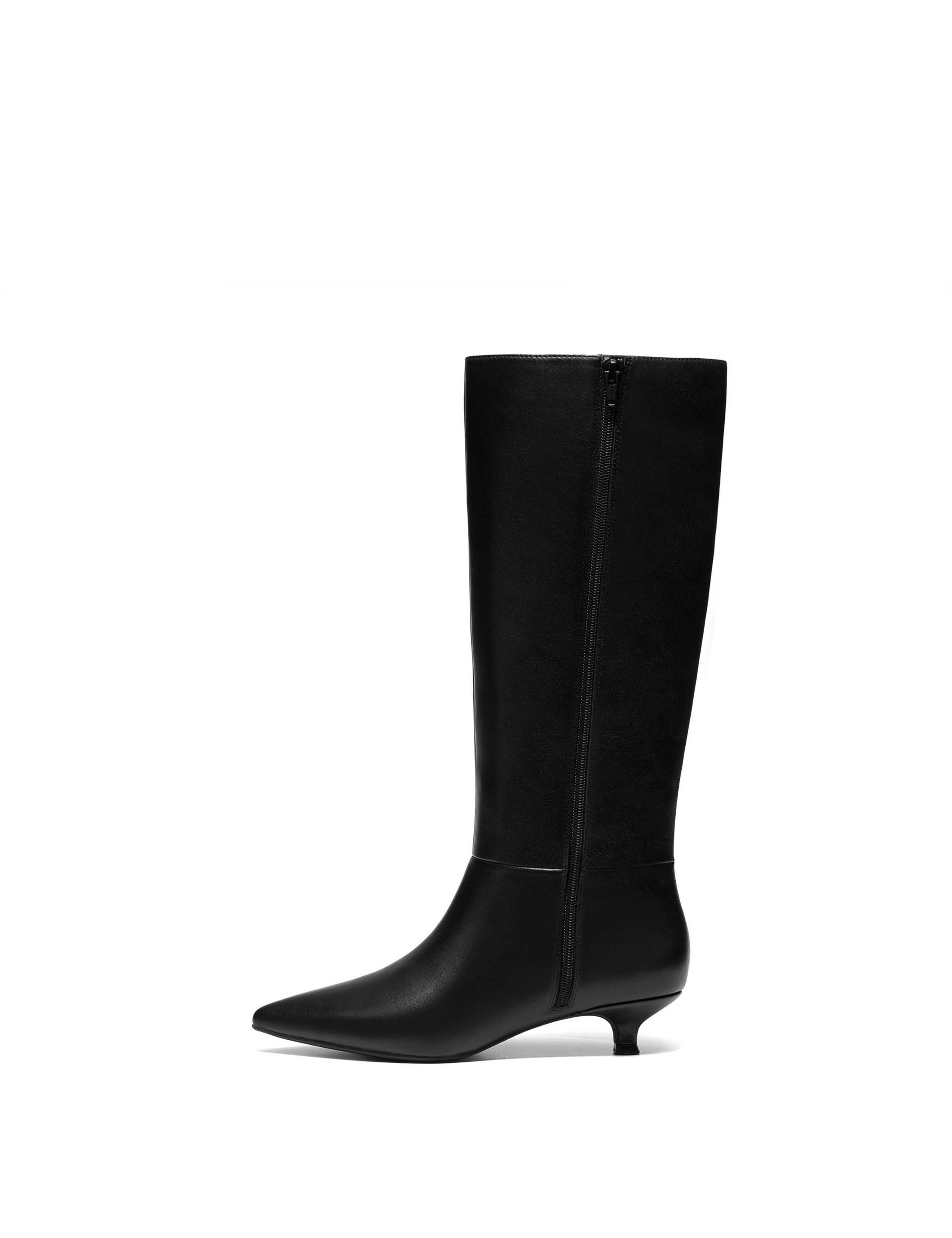 Pisa Leather Kitten Heel Pointed Knee High Boots 2 of 6