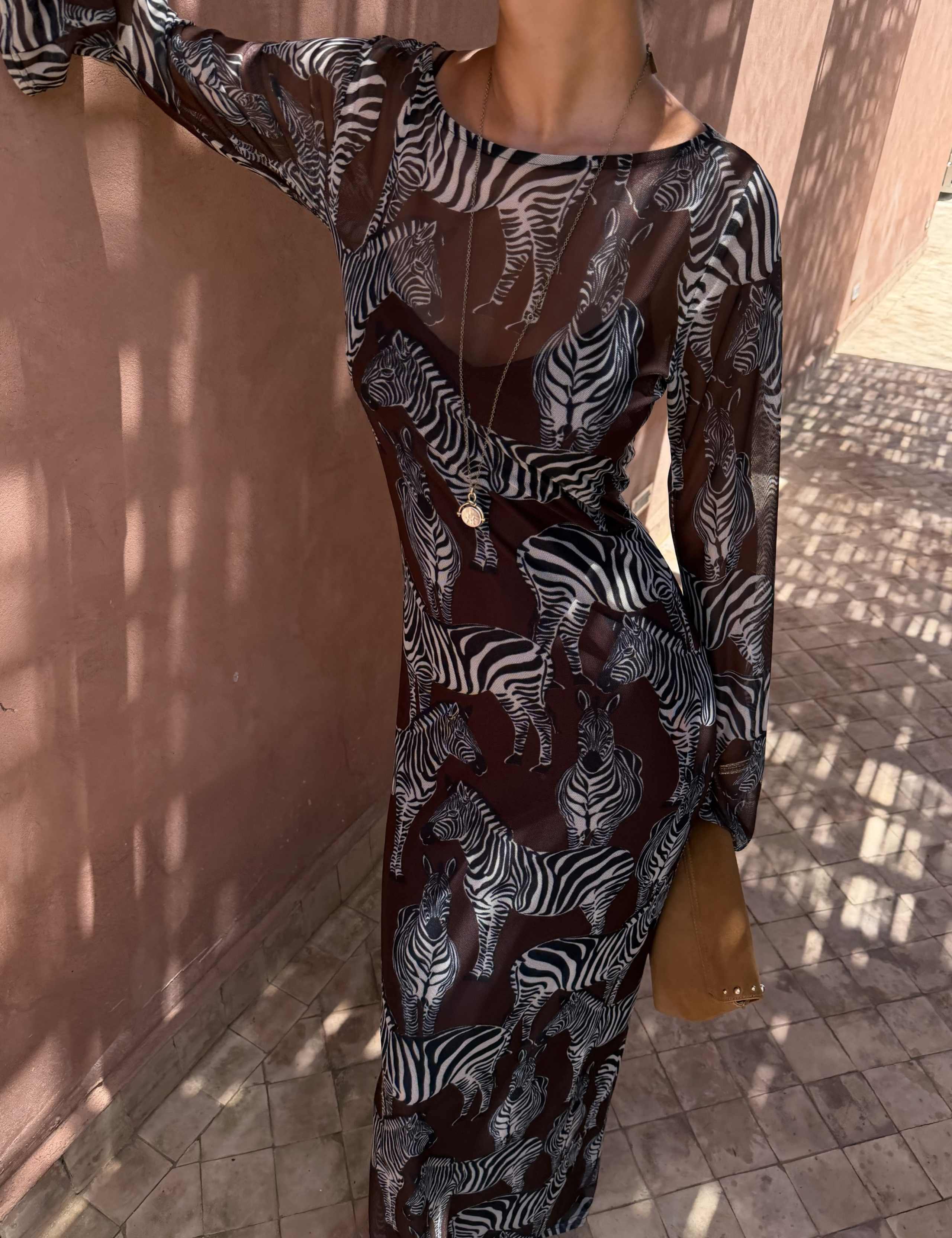 Animal Print Scoop Neck Maxi Skater Dress 5 of 5