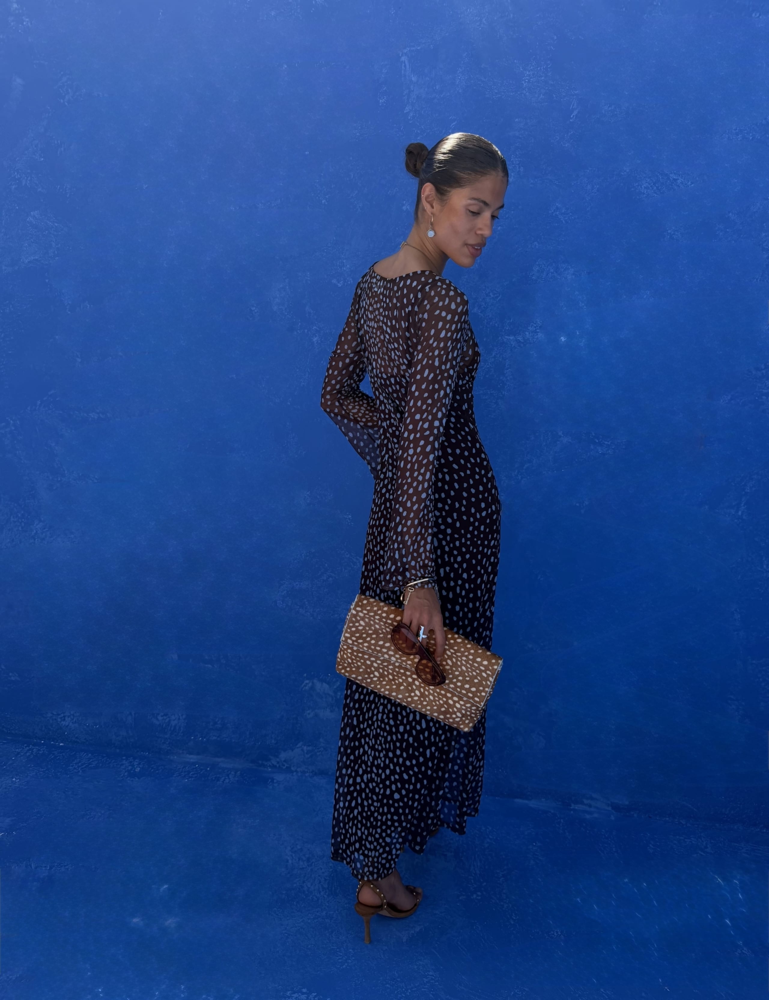 Mesh Print Fitted Maxi Dress 4 of 4