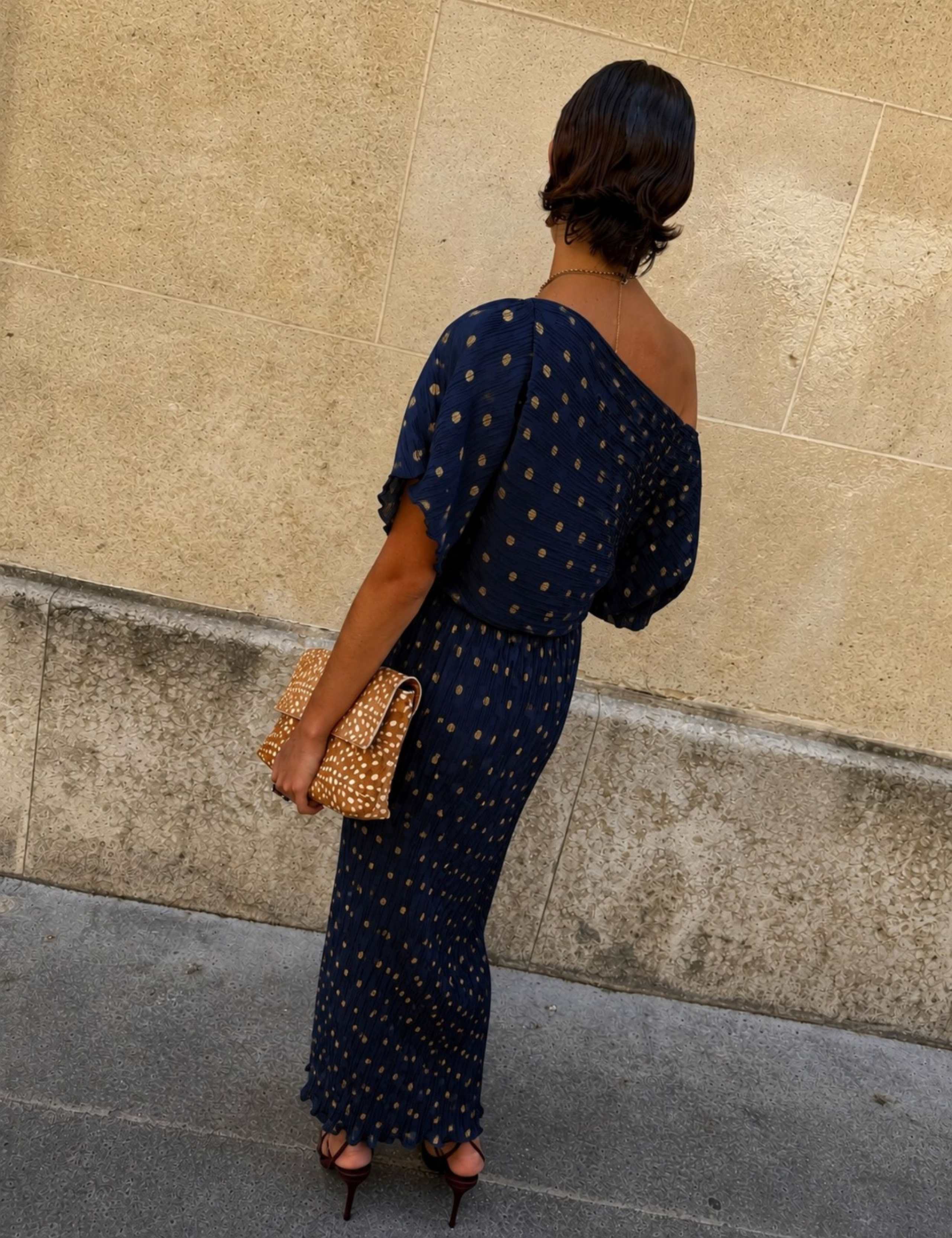 Plisse Printed Midaxi Waisted Dress 4 of 4