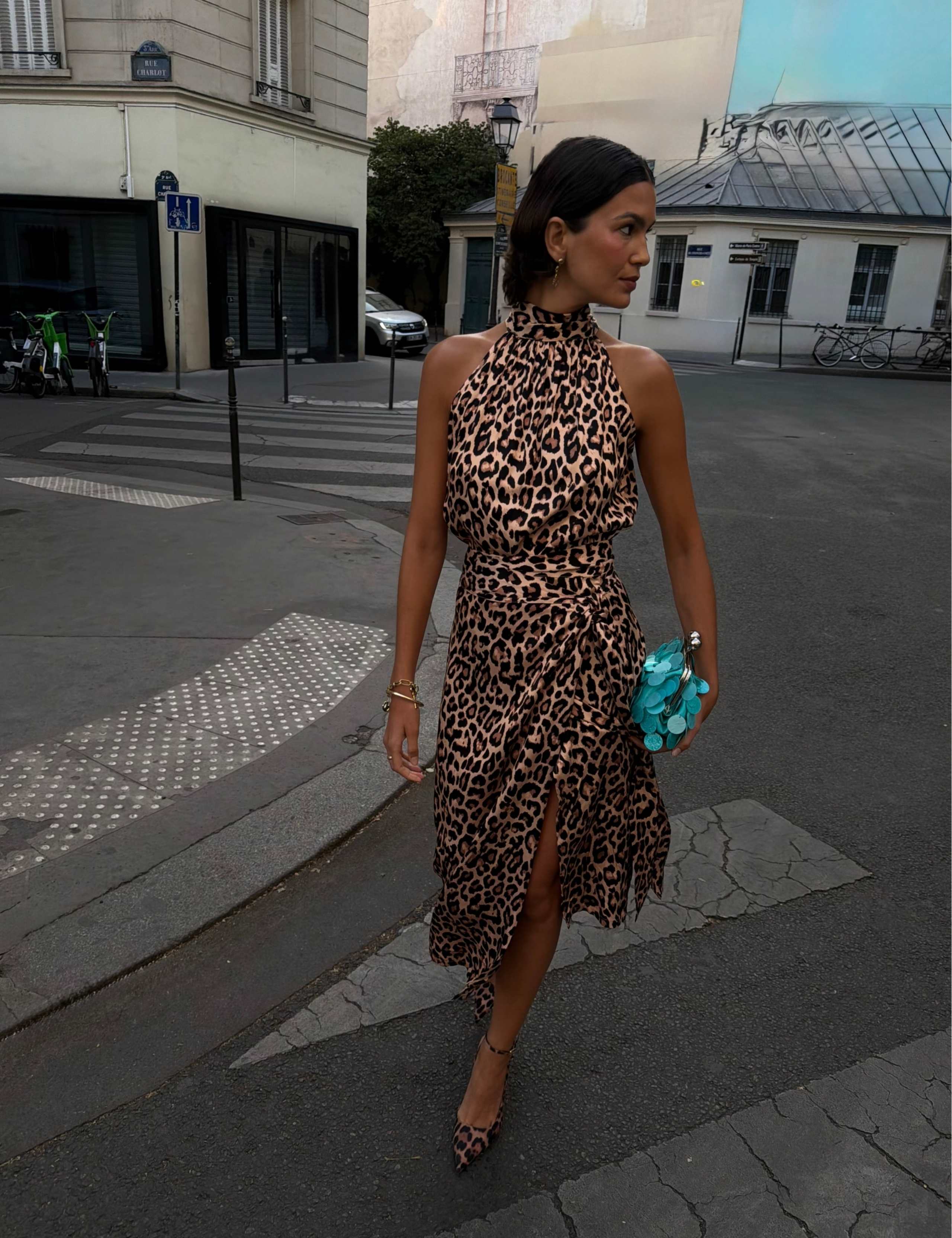 Leopard Print High Neck Fitted Vest 2 of 5