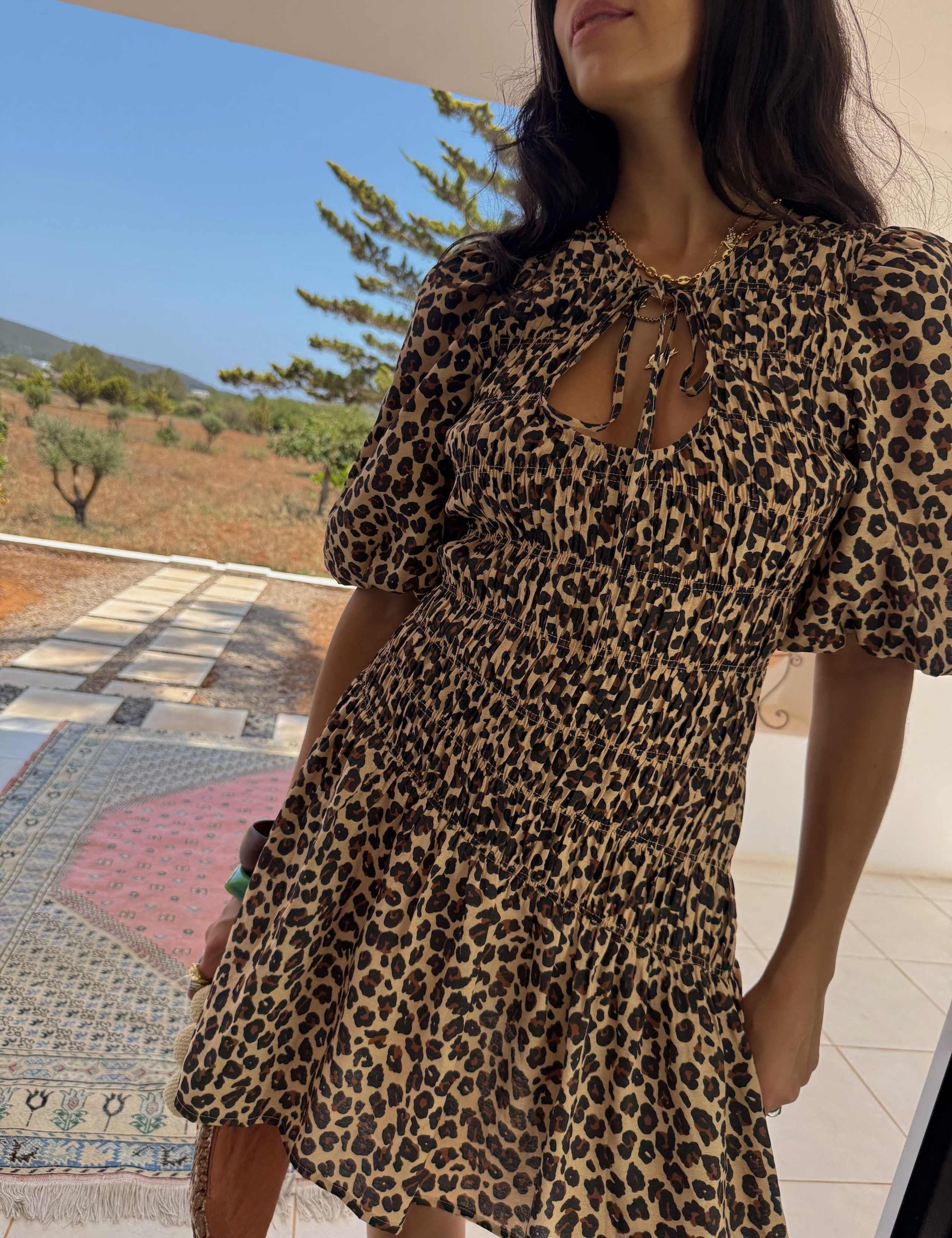 Leopard Print Tie Neck Mini Waisted Dress 6 of 6