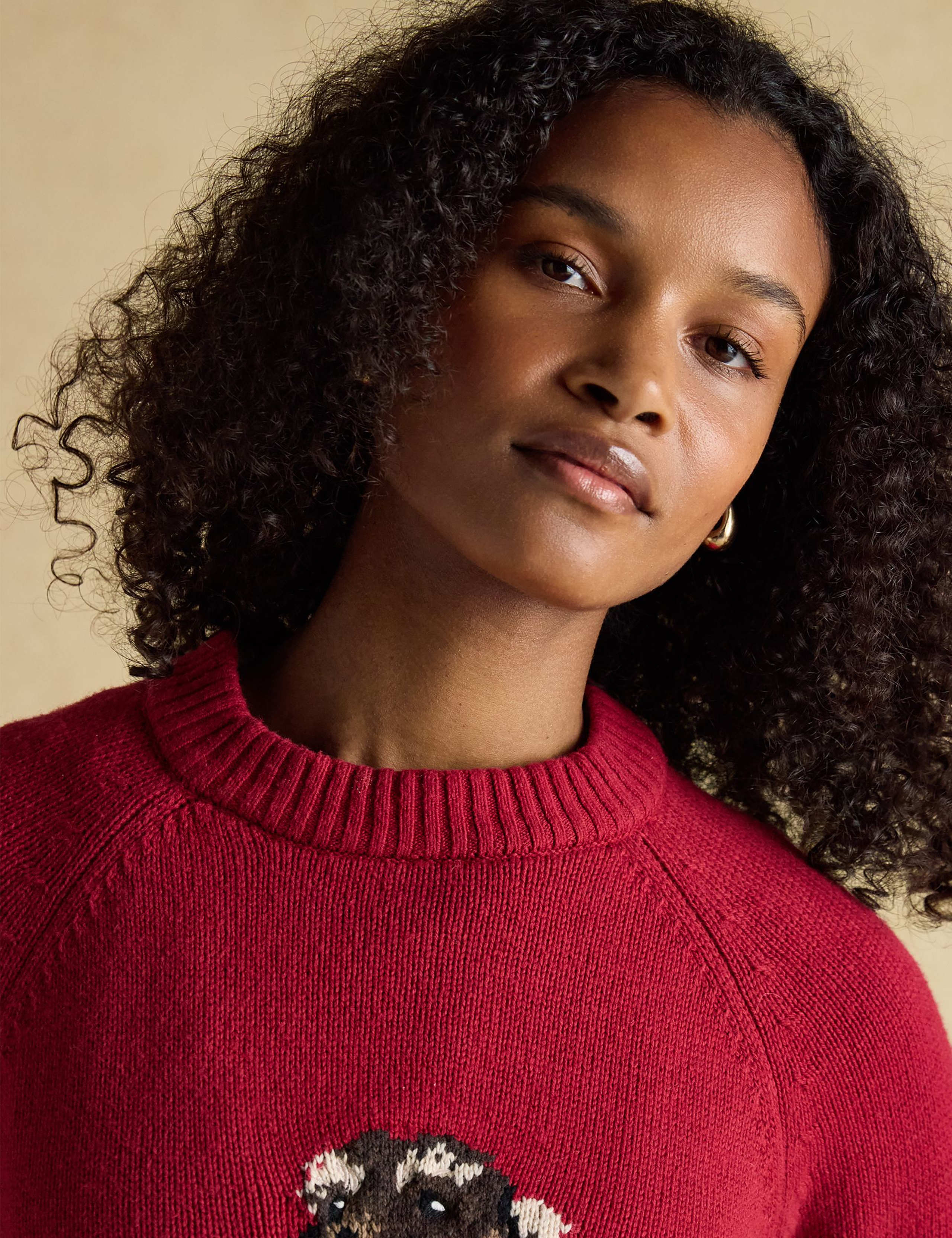 Cotton Rich Embroidered Jumper with Wool 6 of 8