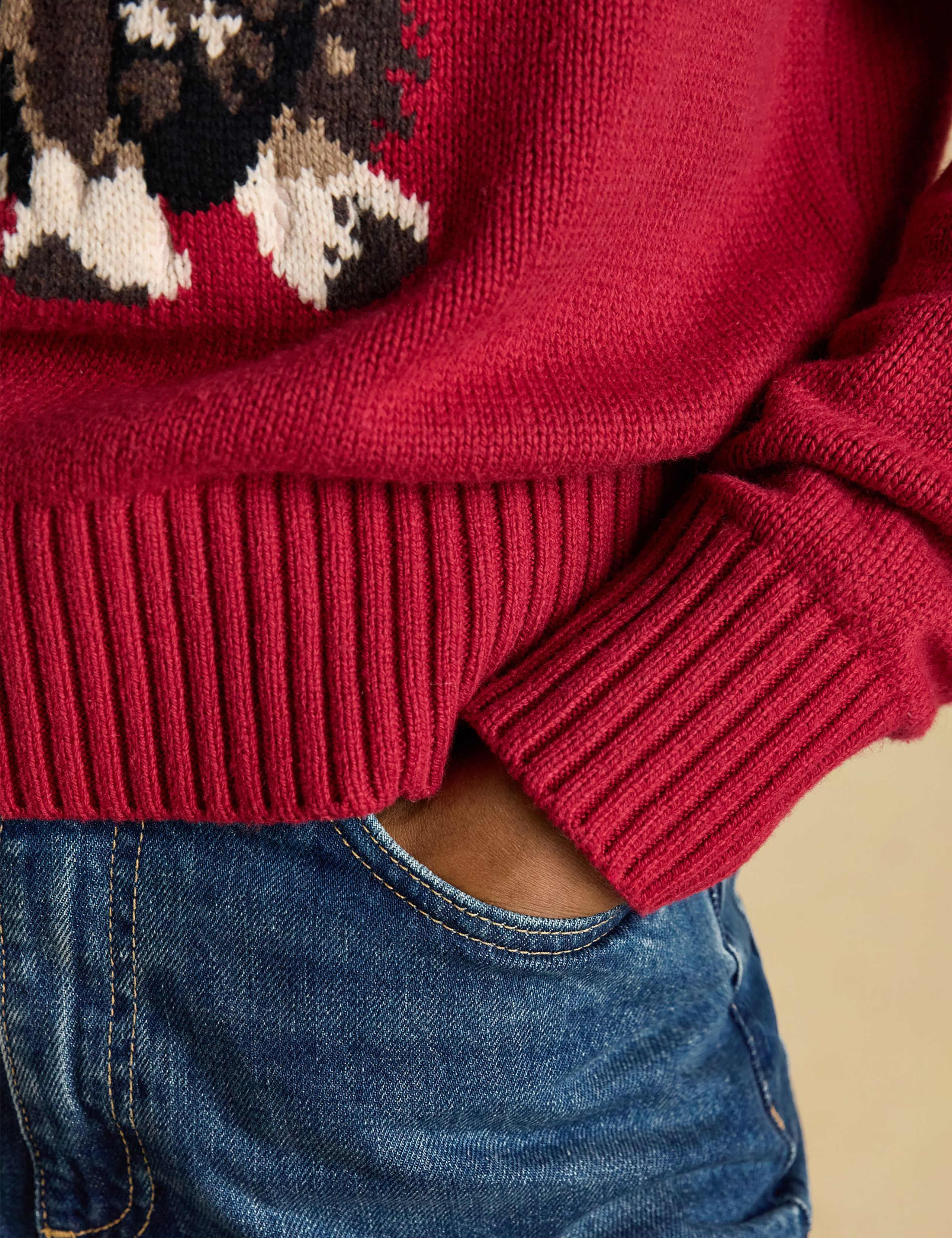 Cotton Rich Embroidered Jumper with Wool 7 of 8