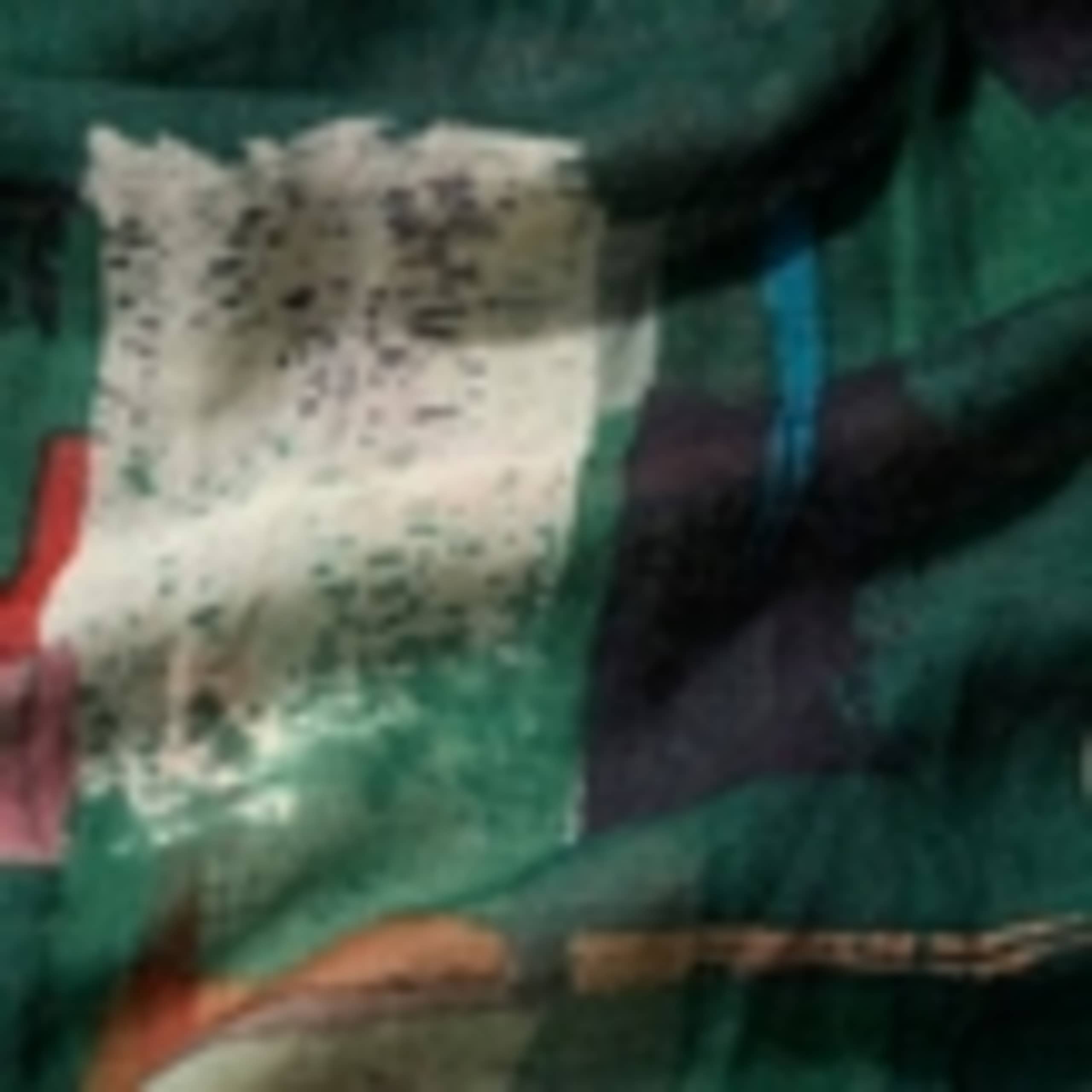 Pure Wool Printed Scarf 6 of 6