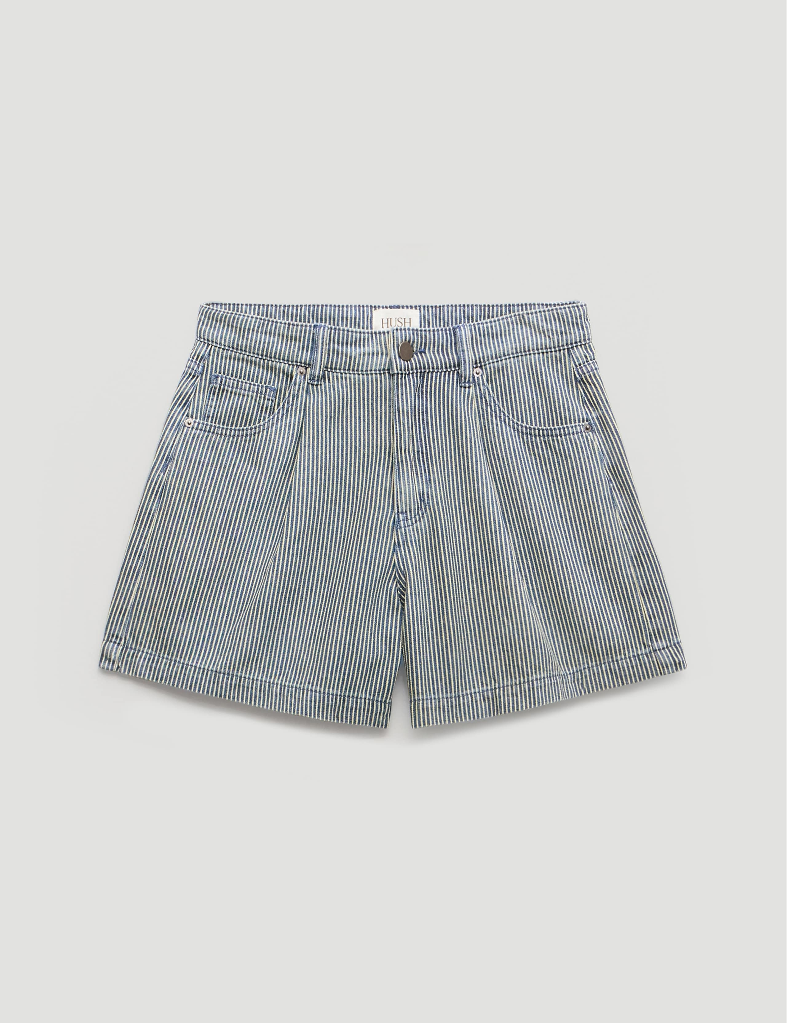 Denim Striped Pleat Front Shorts 2 of 6