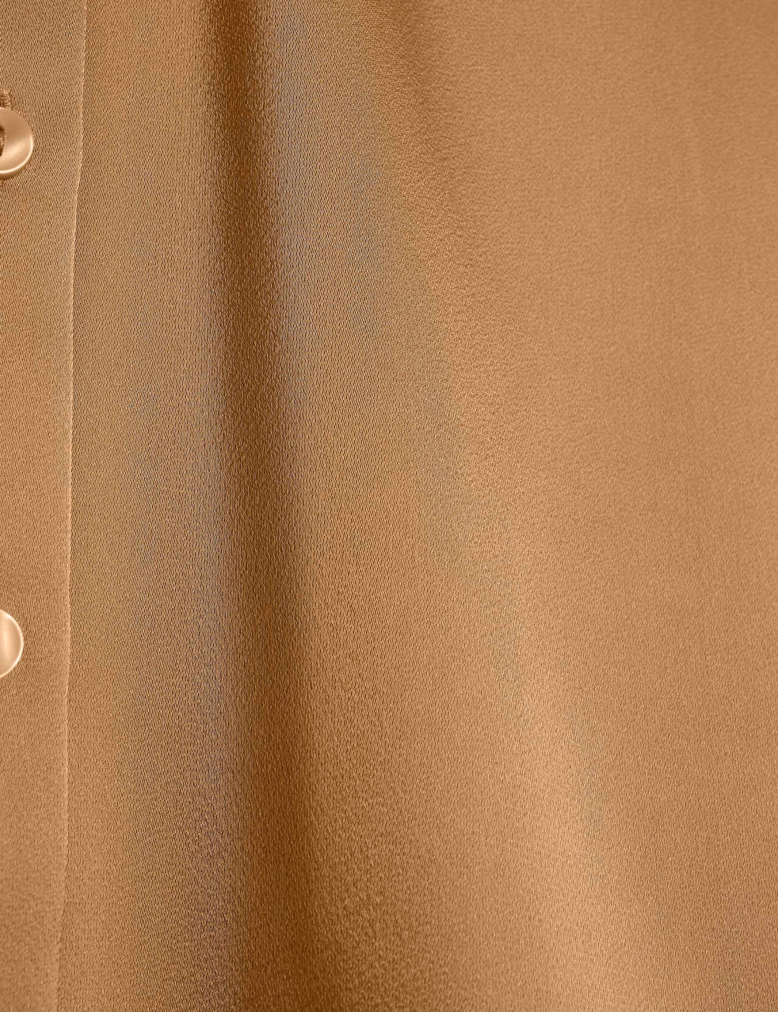 Satin Collared Shirt 4 of 6