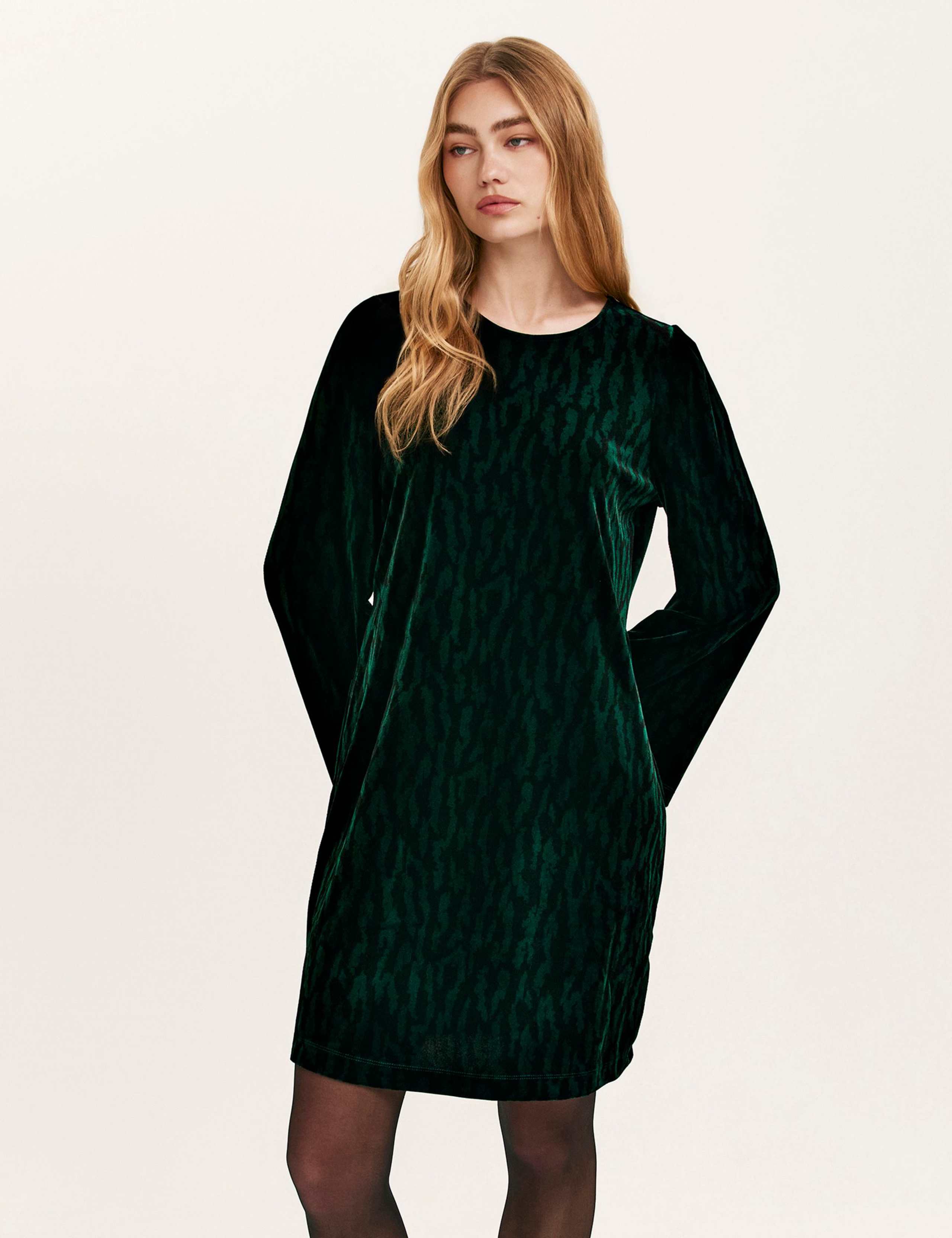 Velvet Animal Print Knee Length Shift Dress 4 of 4