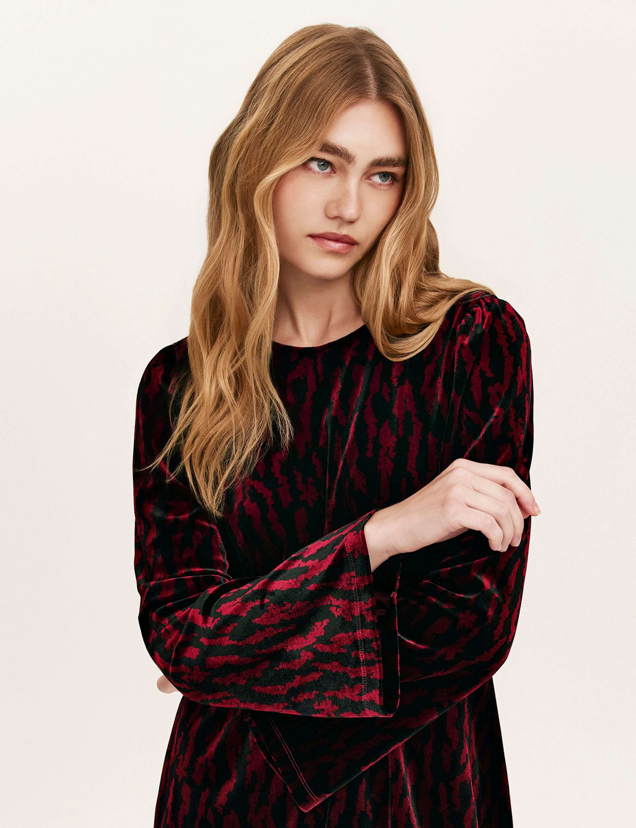 Velvet Animal Print Knee Length Shift Dress 4 of 5