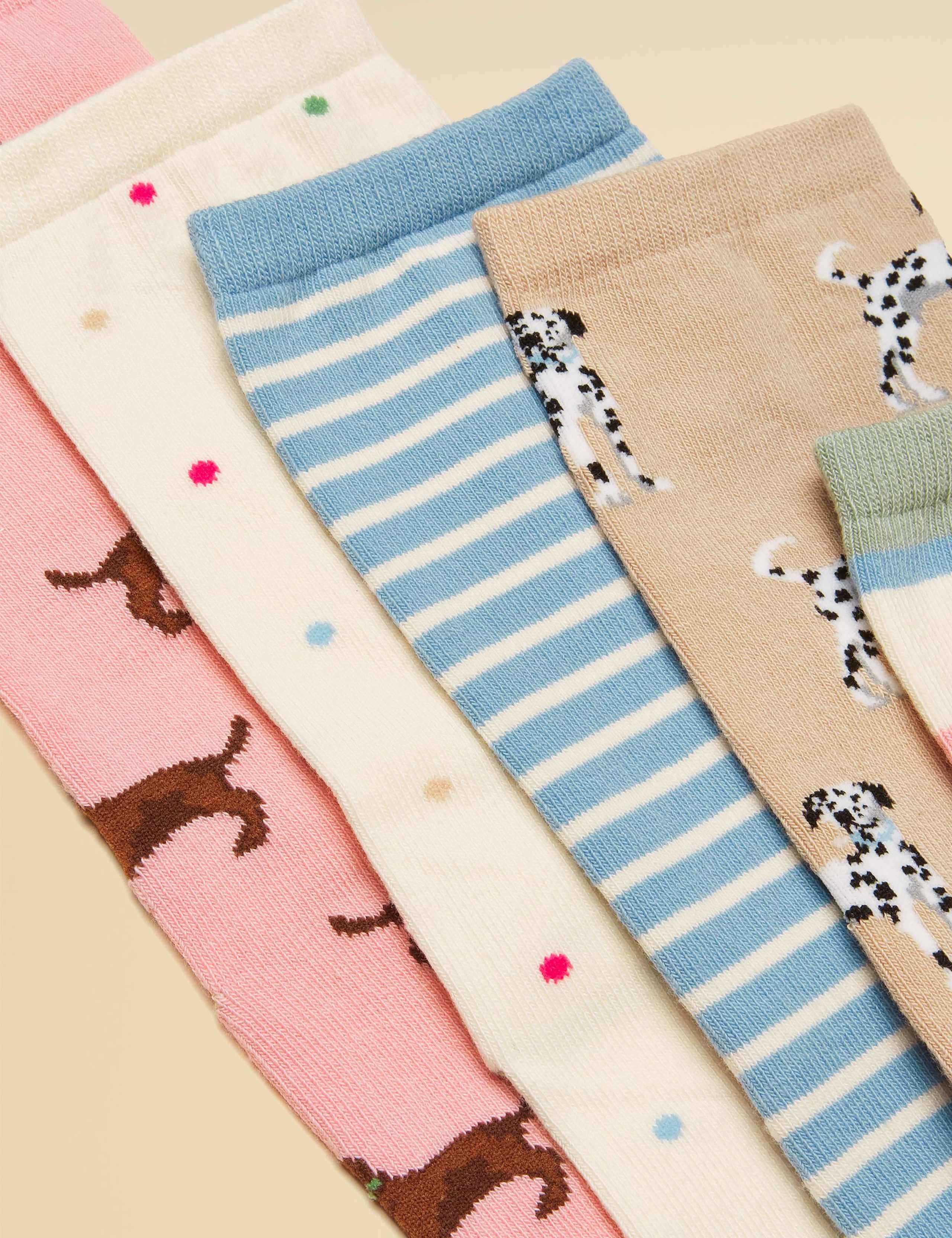 5 Pack Cotton Rich Dog Ankle Socks 2 of 3