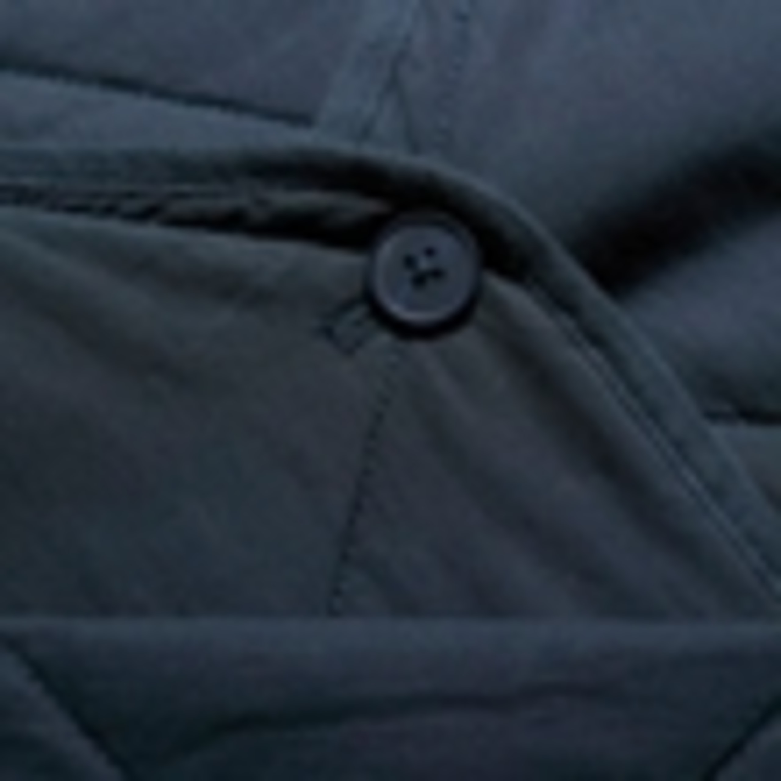 Pure Cotton Quilted Jacket 5 of 5