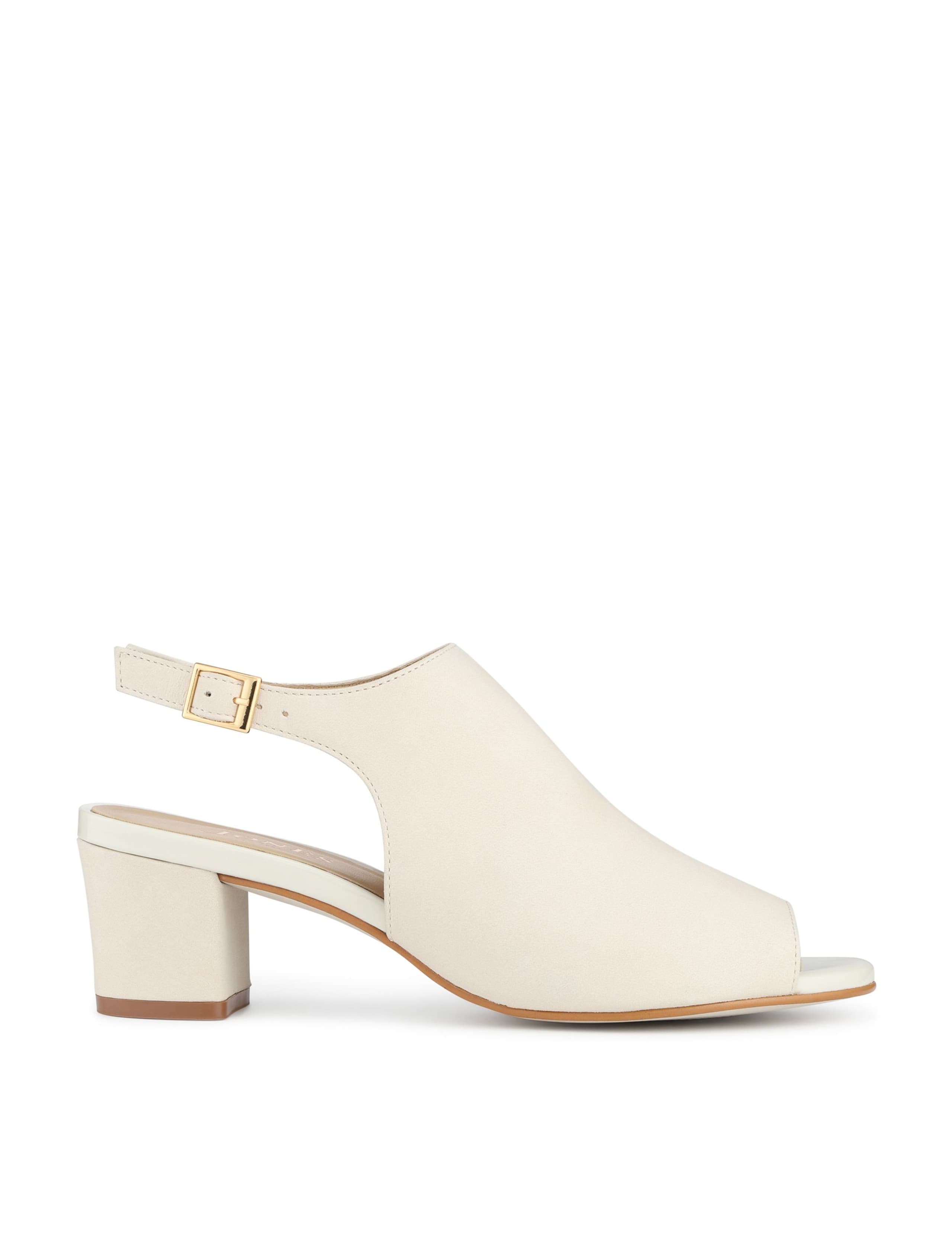 Suede Kitten Heel Pointed Court Shoes 5 of 5