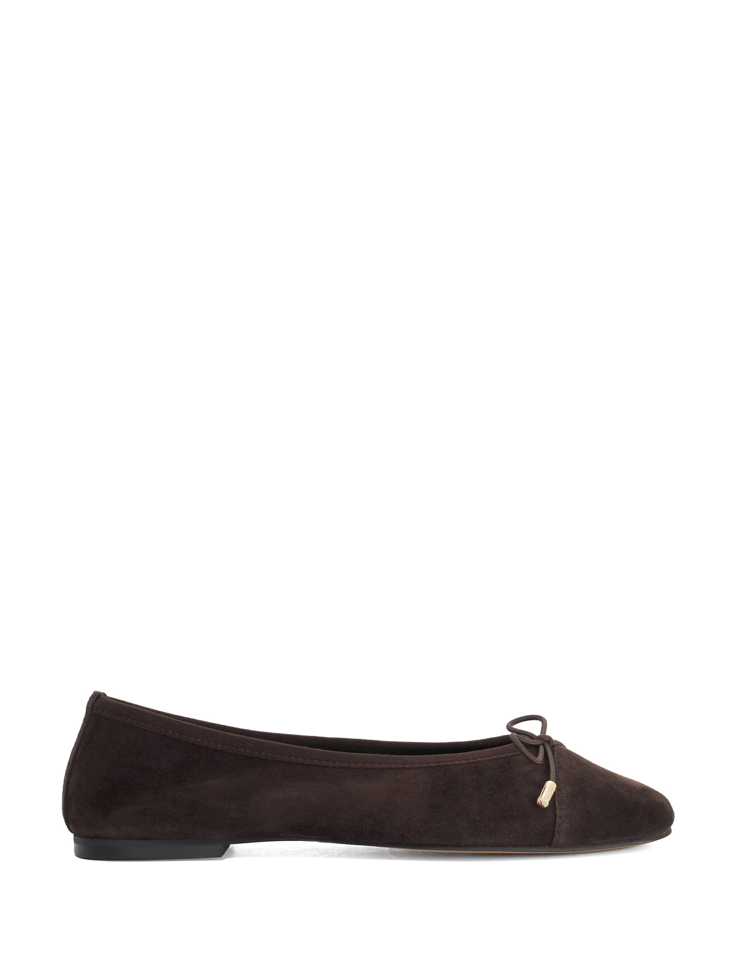 Suede Flat Ballet Pumps 1 of 5
