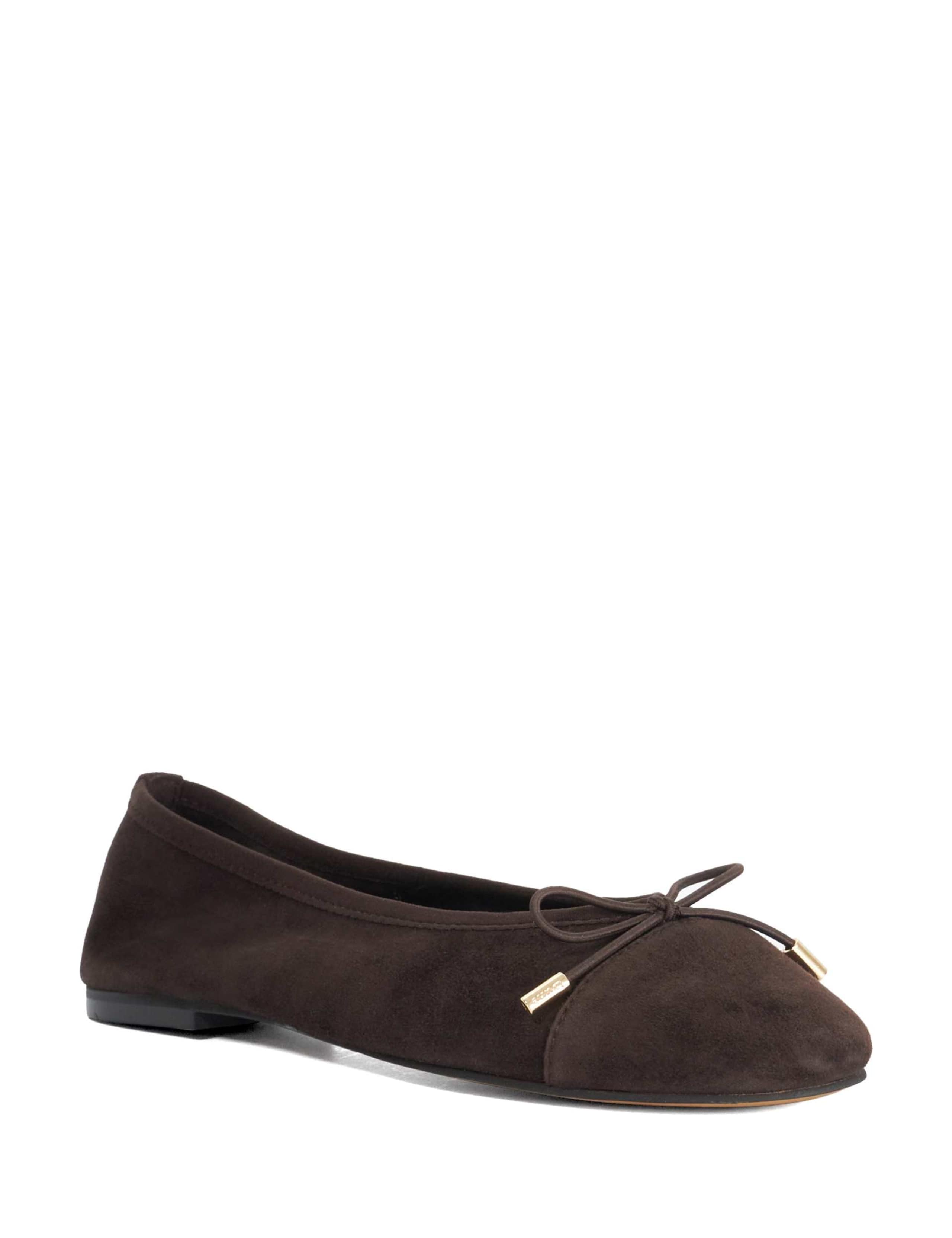 Suede Flat Ballet Pumps 3 of 5