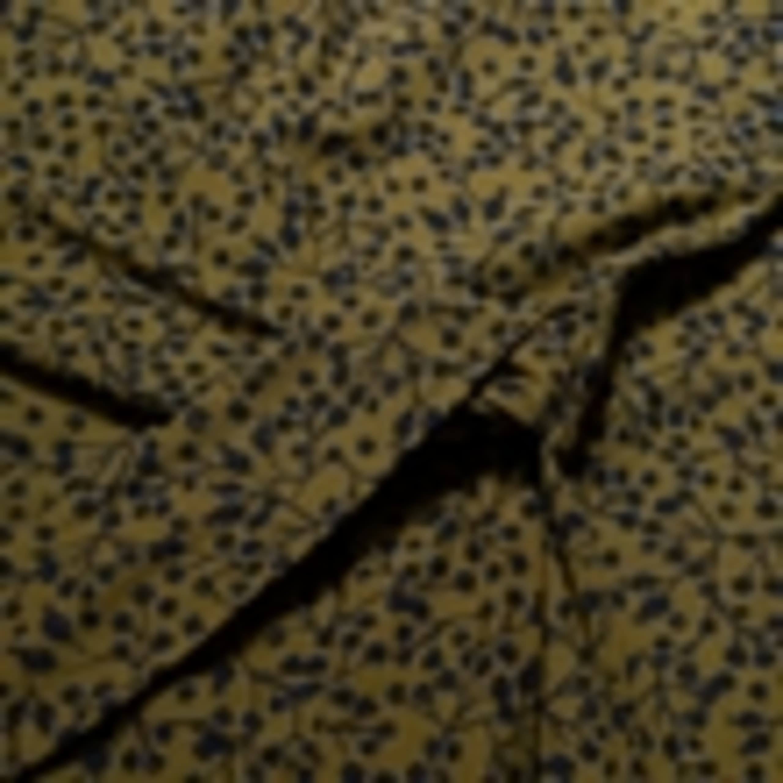 Cotton Rich 3/4 Sleeve Midi Waisted Dress 5 of 5