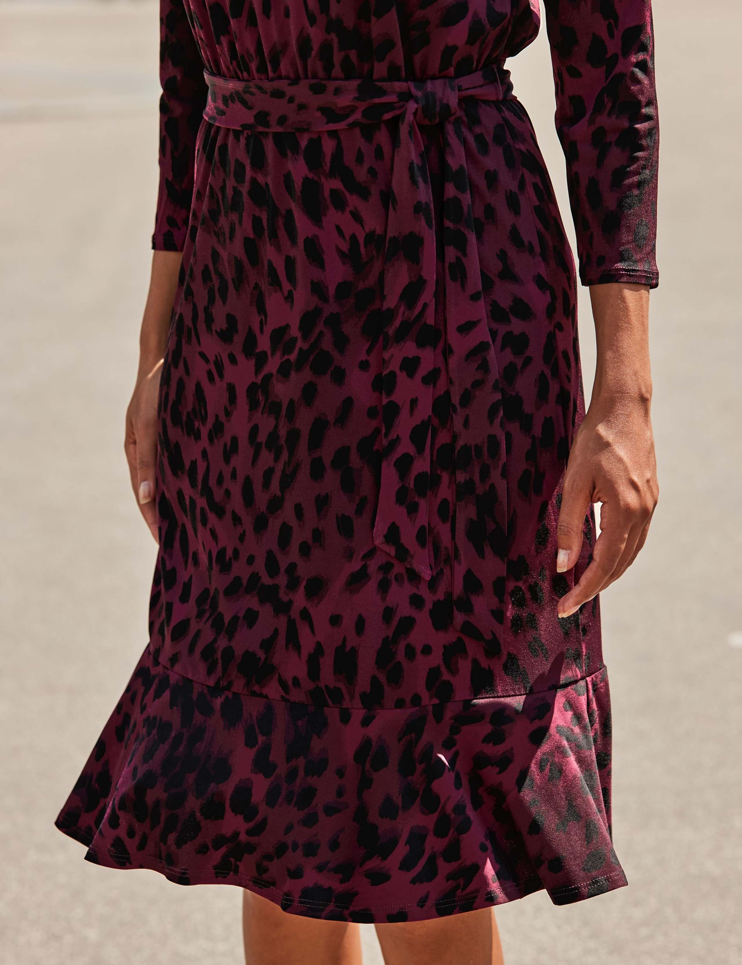 Animal Print Knee Length Skater Dress 4 of 4