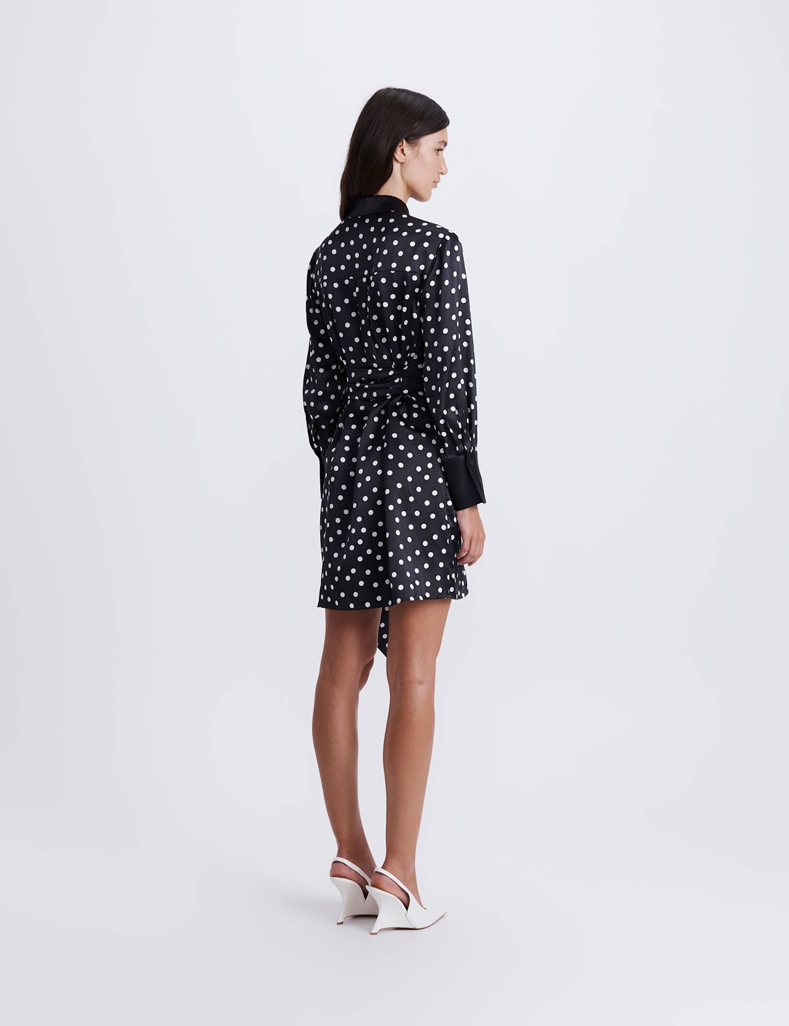 Pure Silk Polka Dot Mini Shirt Dress 3 of 8