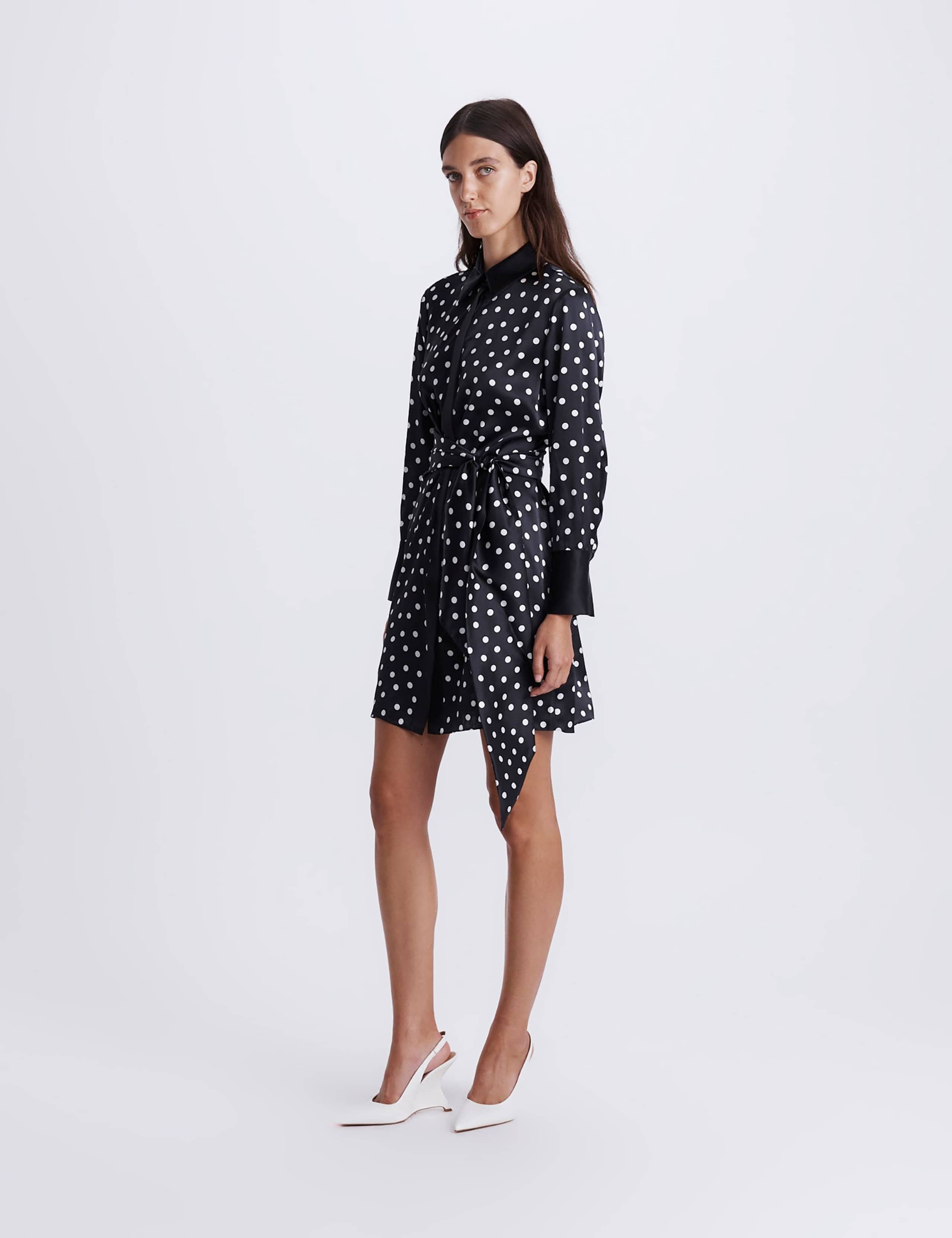 Pure Silk Polka Dot Mini Shirt Dress 4 of 8
