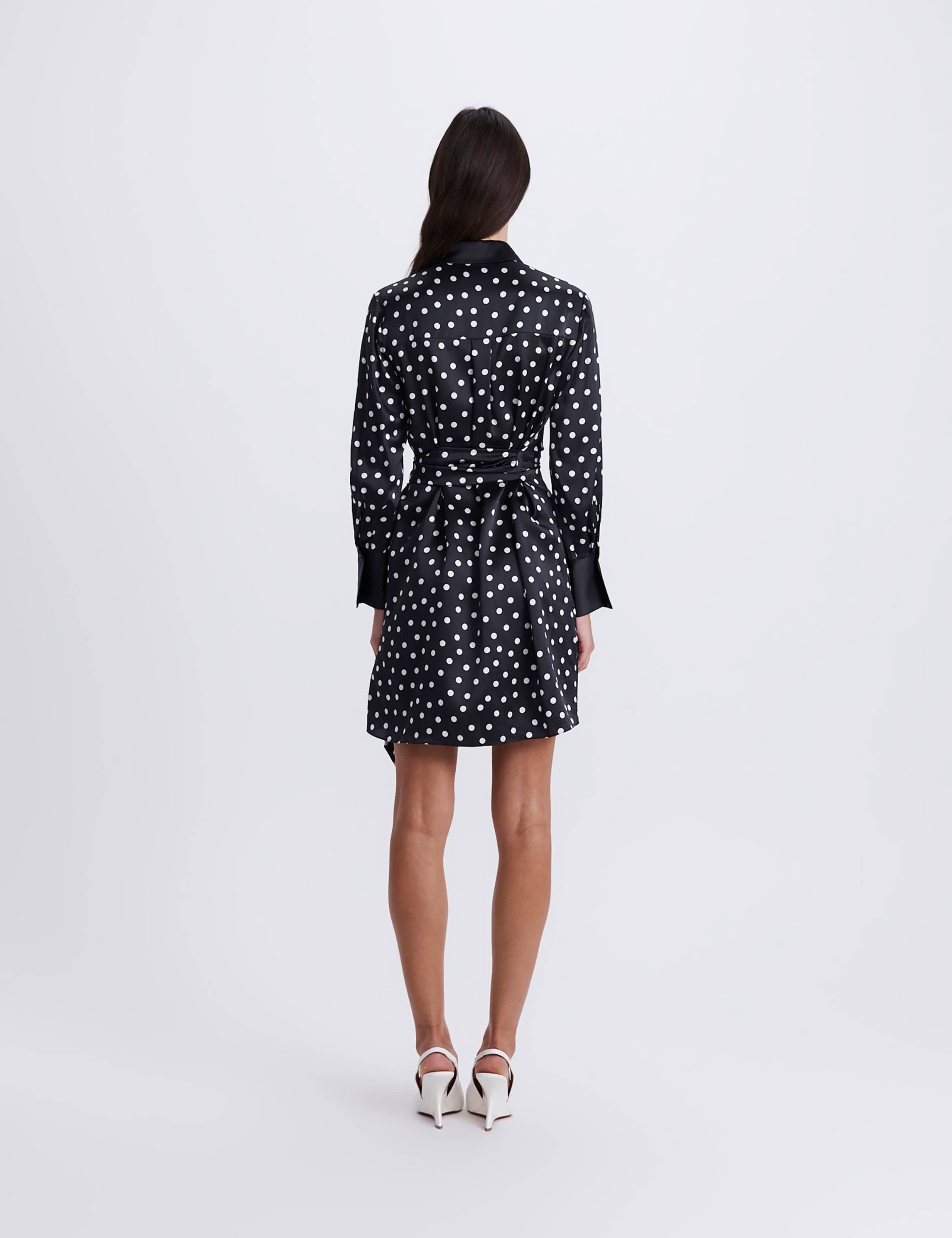 Pure Silk Polka Dot Mini Shirt Dress 6 of 8