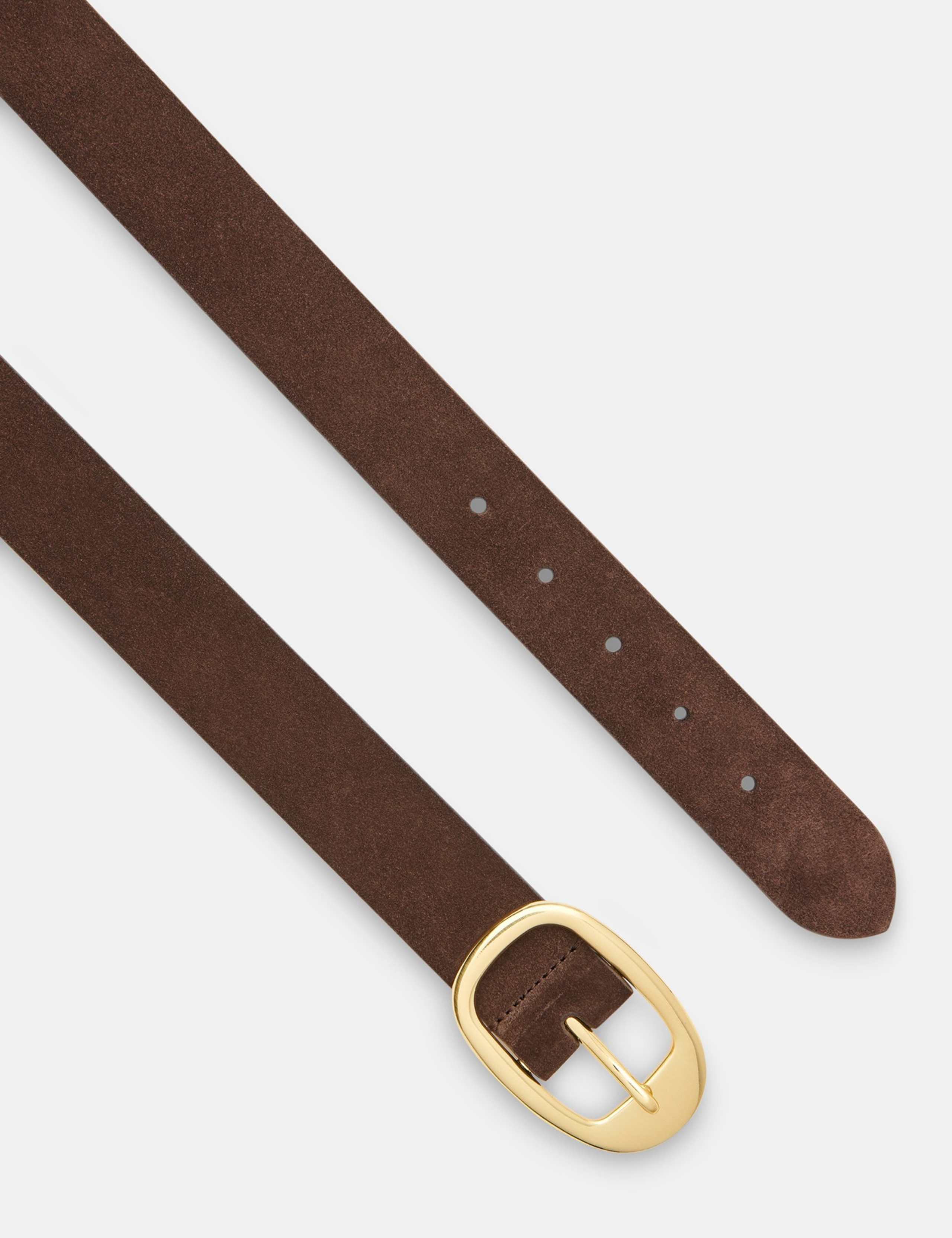Suede Oval Buckle Jeans Belt 3 of 4