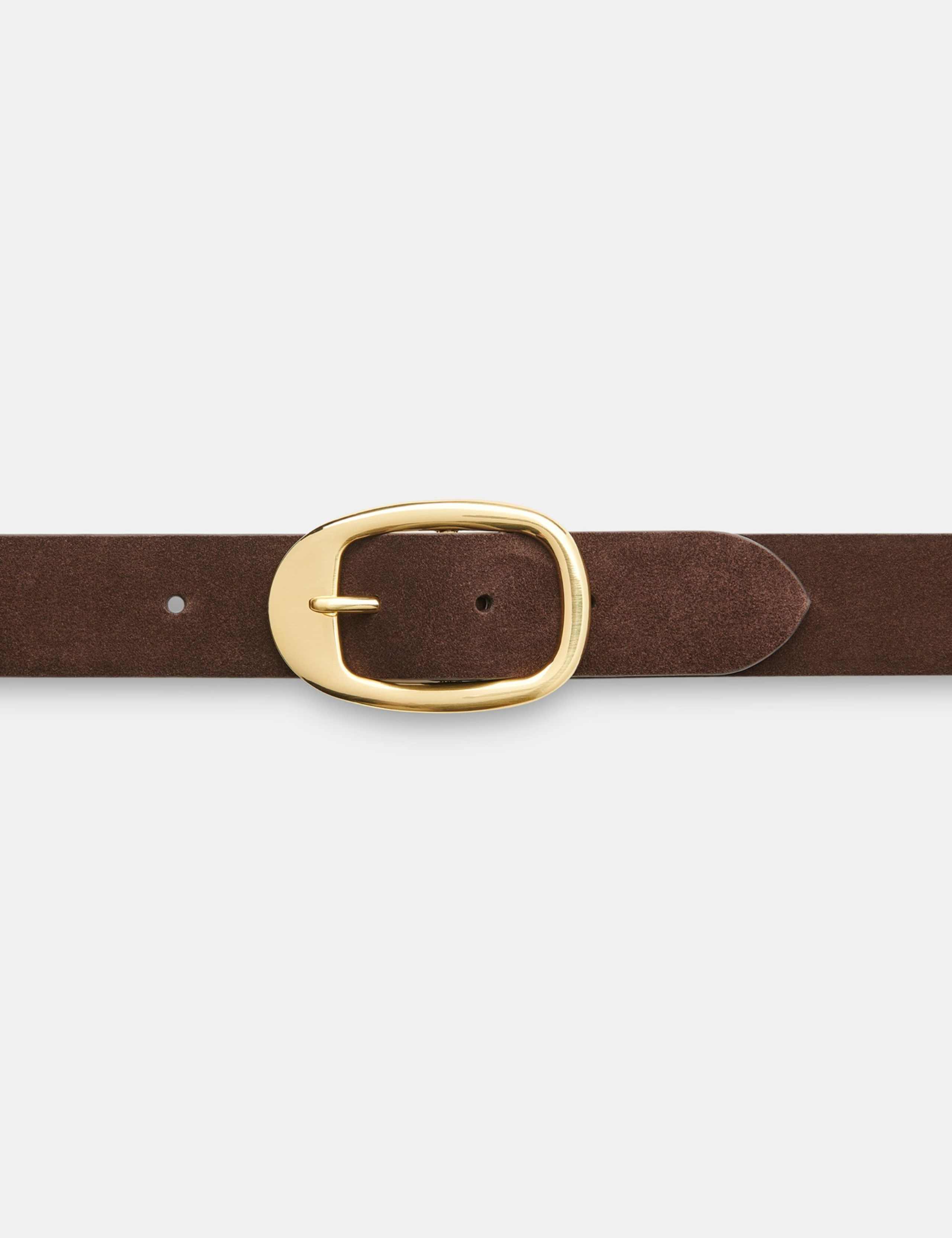 Suede Oval Buckle Jeans Belt 4 of 4