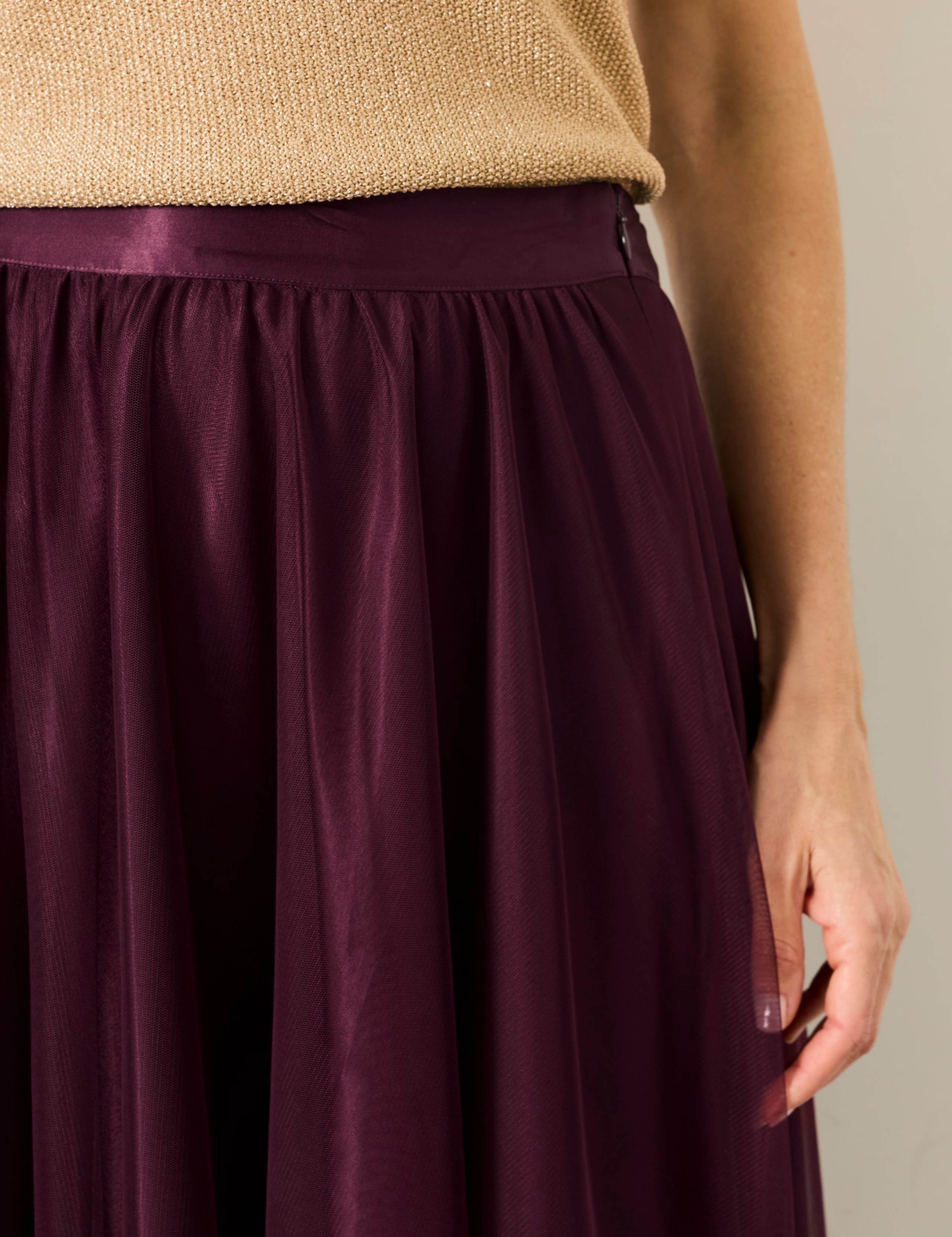 Tulle Pleated Midi Skirt 6 of 6