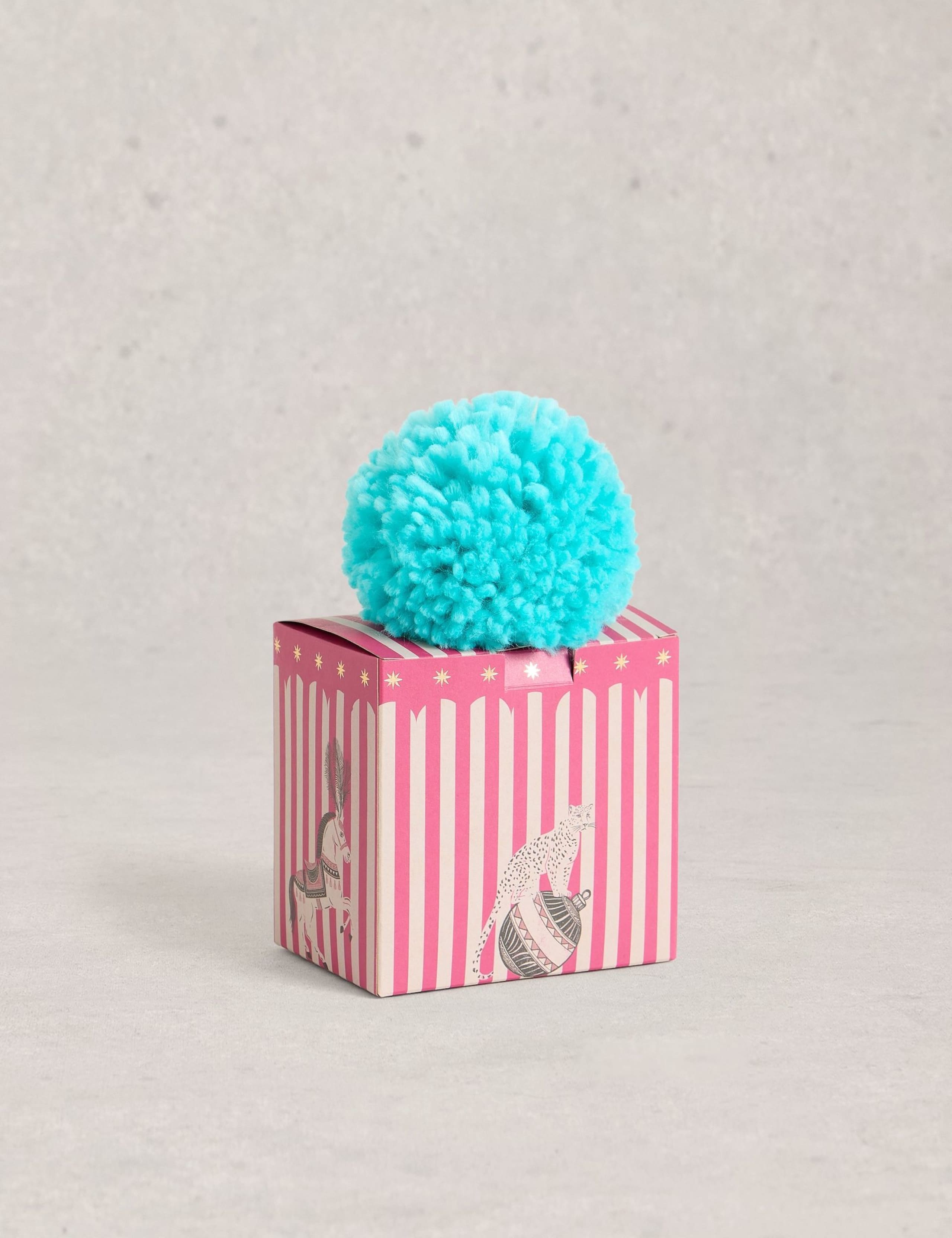 Striped Pom Pom Hat in a Box 4 of 4