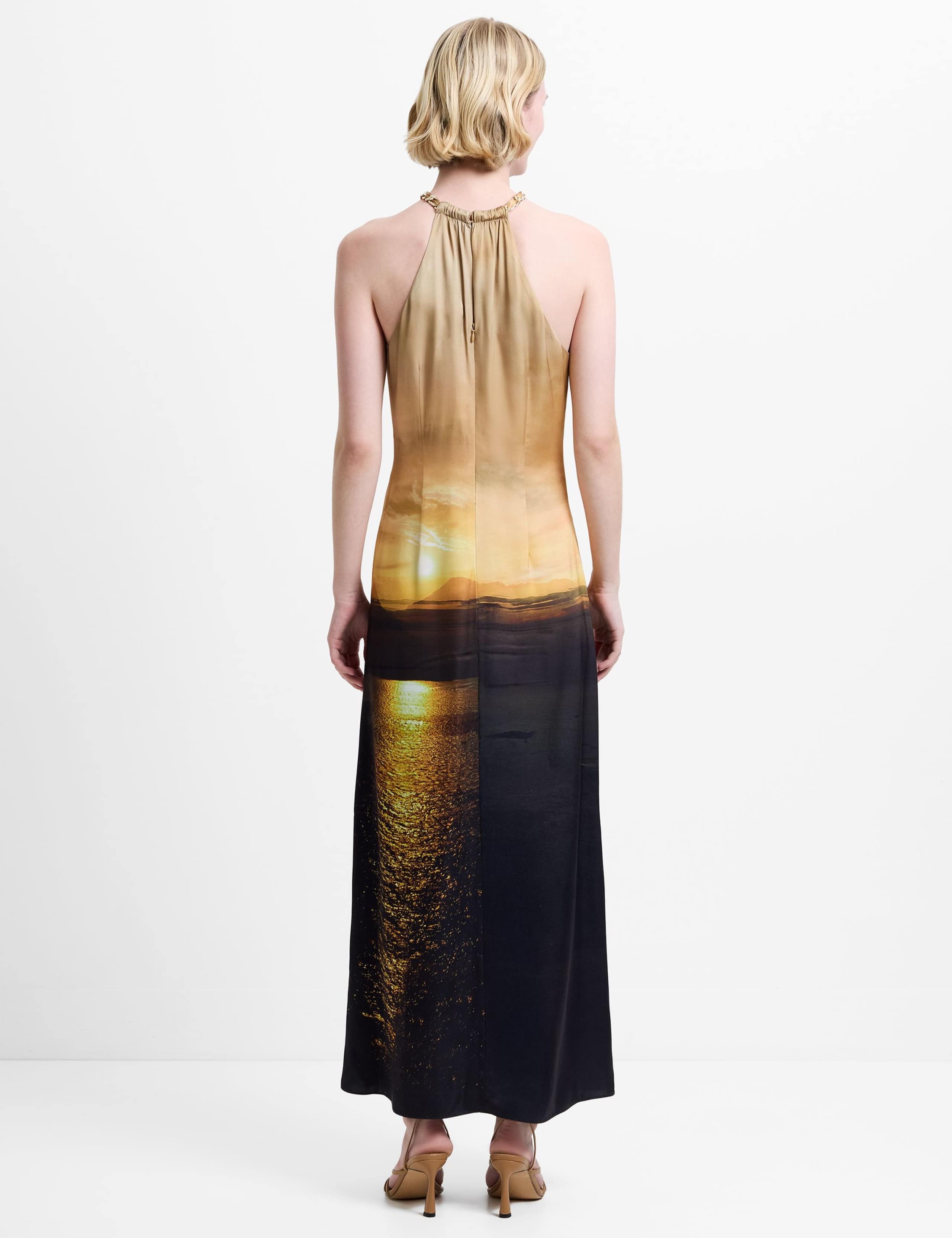 Satin Printed Halter Neck Midaxi Column Dress 4 of 6