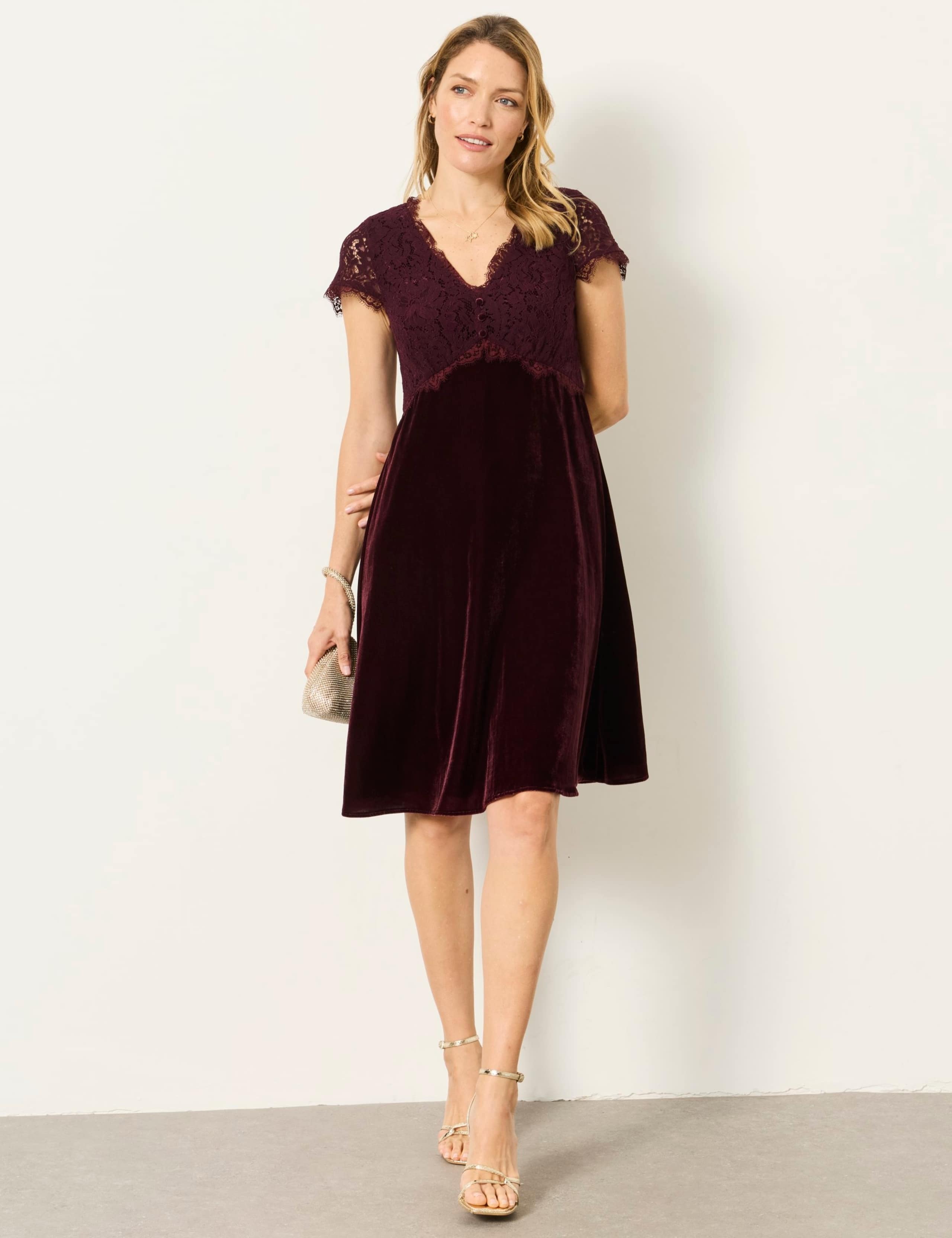 Velvet Lace Detail V-Neck Mini Waisted Dress 1 of 7