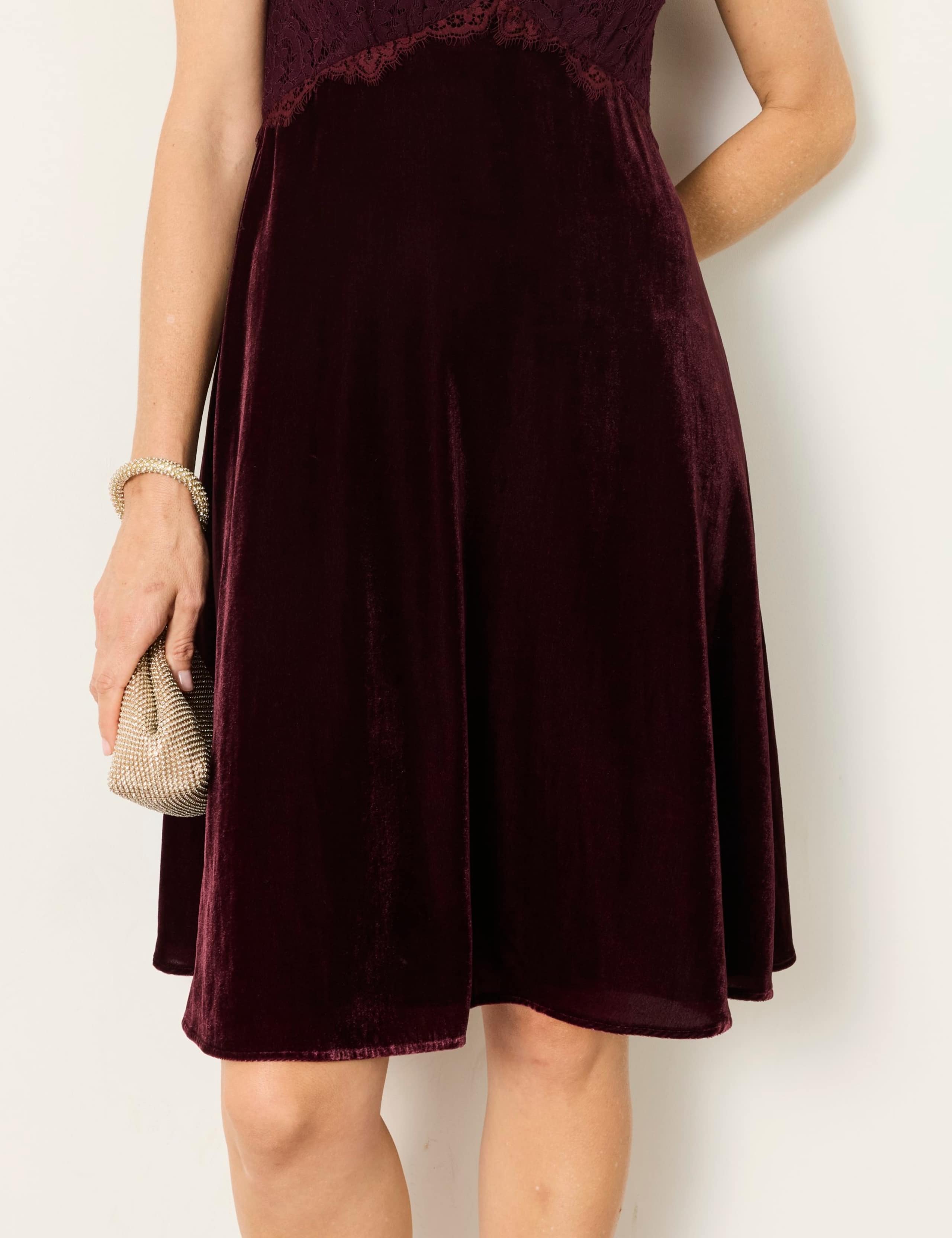 Velvet Lace Detail V-Neck Mini Waisted Dress 7 of 7