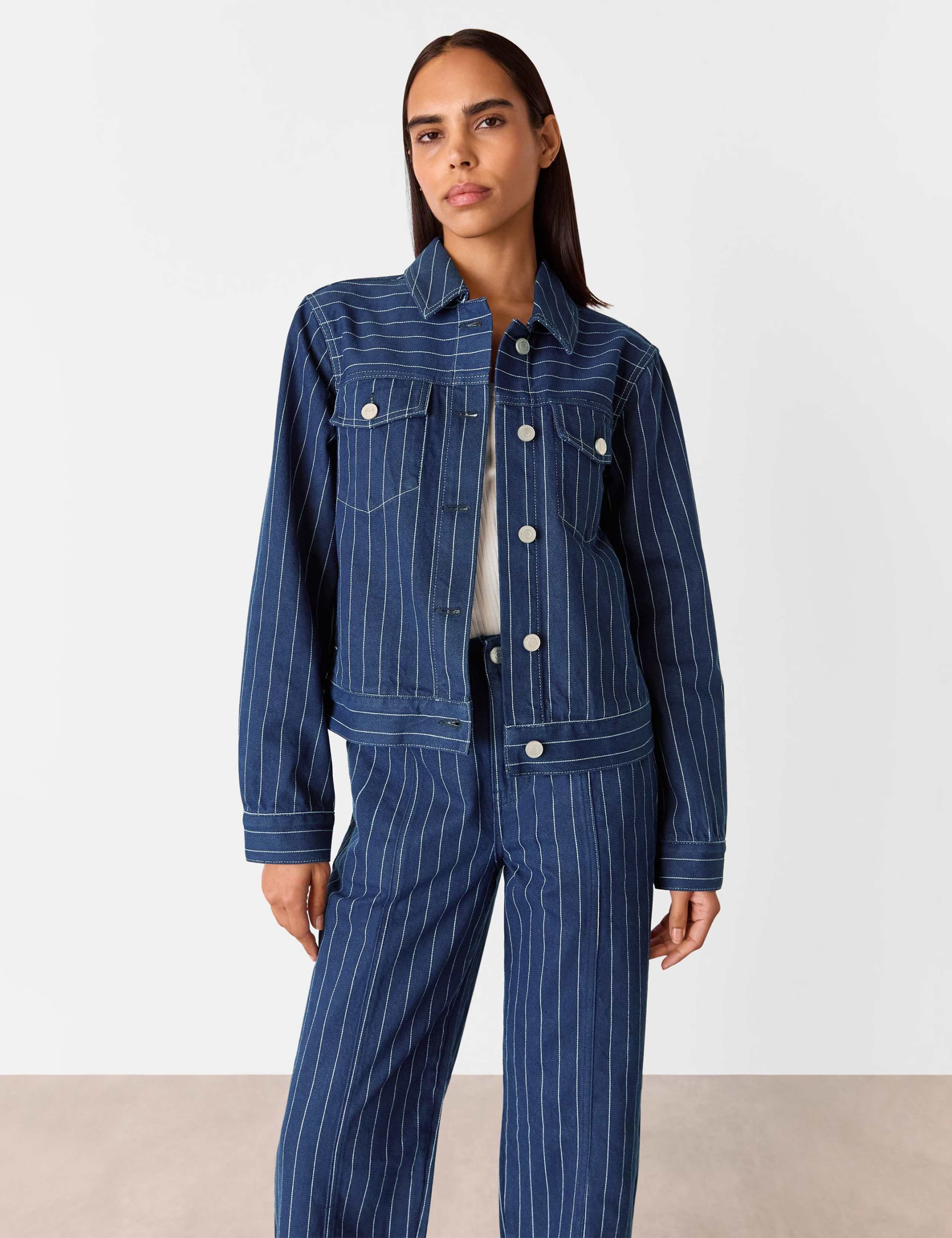 Denim Pinstriped Jacket 4 of 4